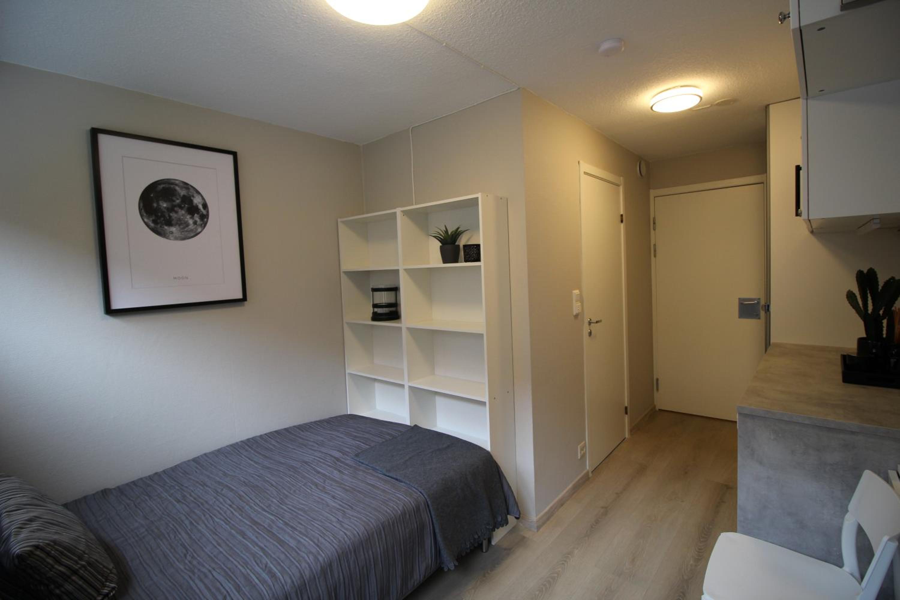 KRSferie leiligheter i sentrum, photo 78