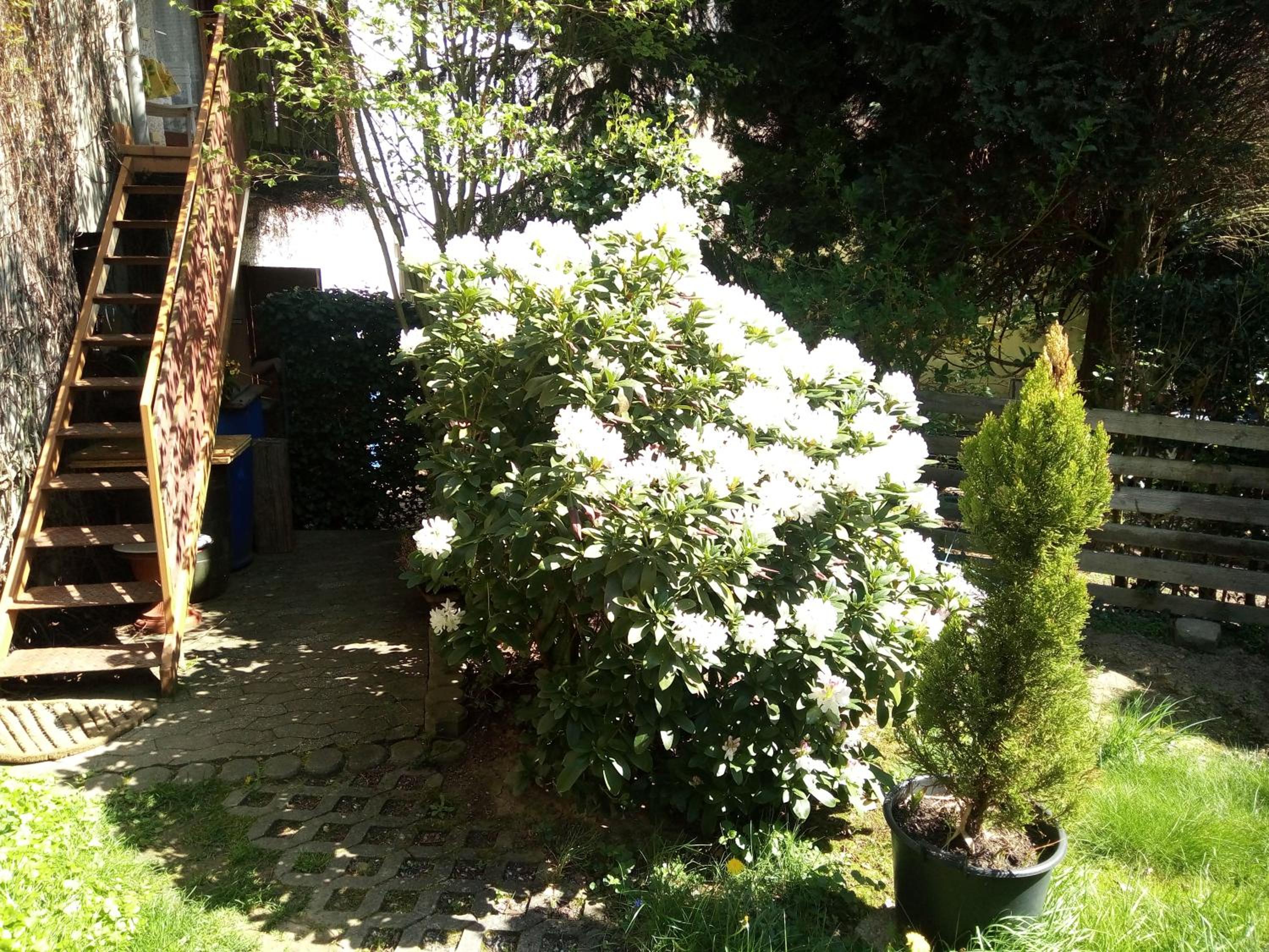 Photo 42