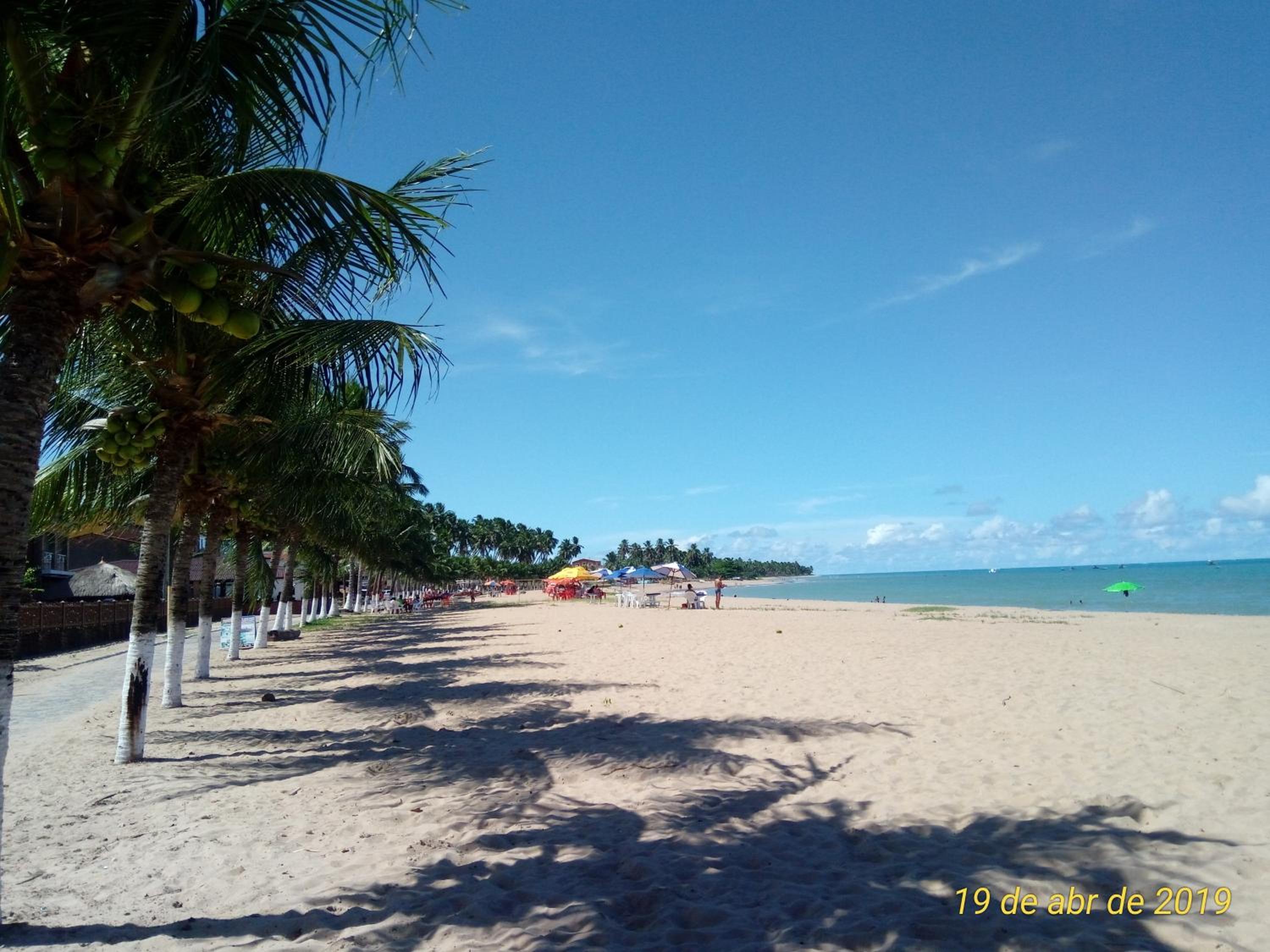 Flat Japaratinga Beach, photo 48