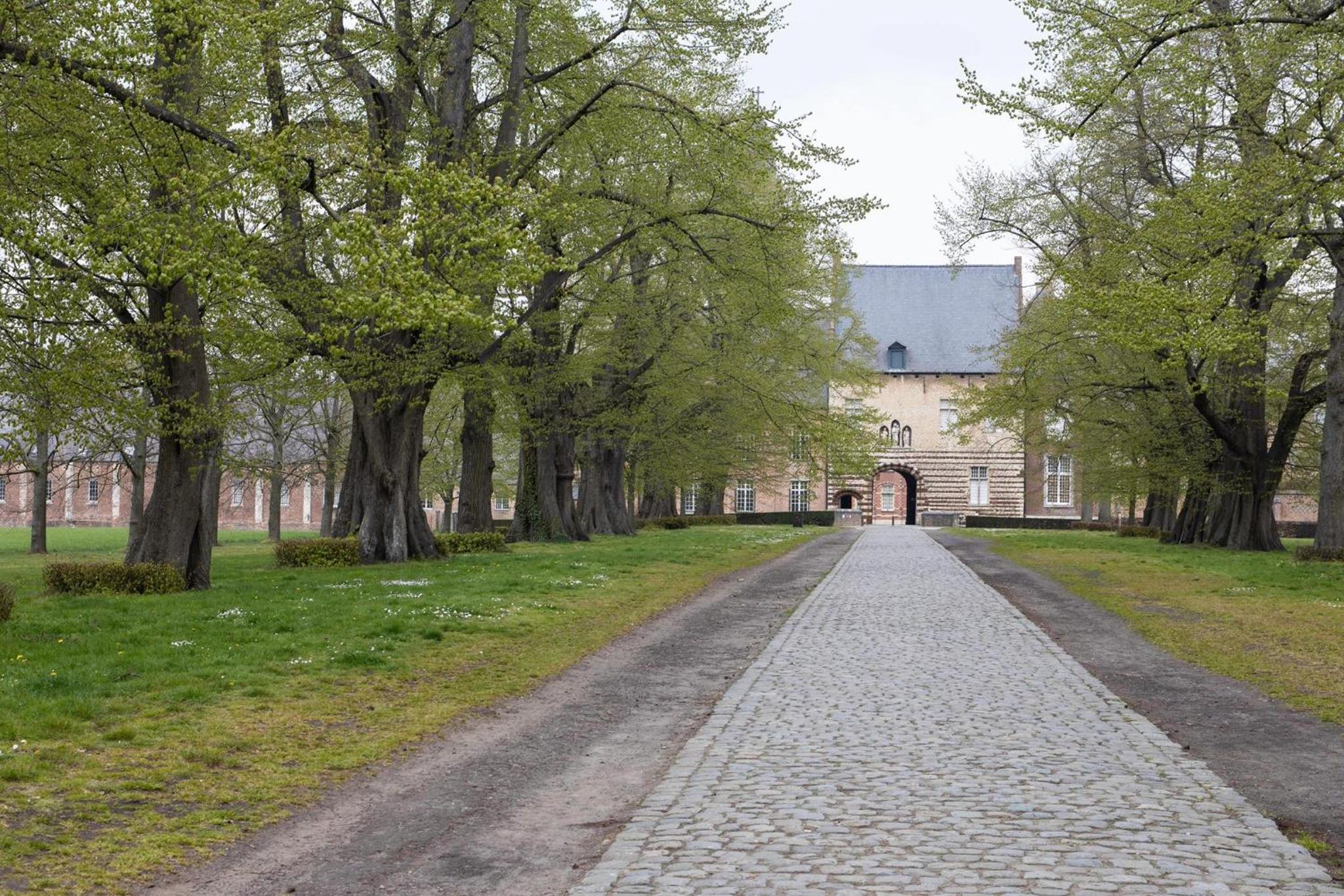 Beeltjens B&B: Wolf&Belle