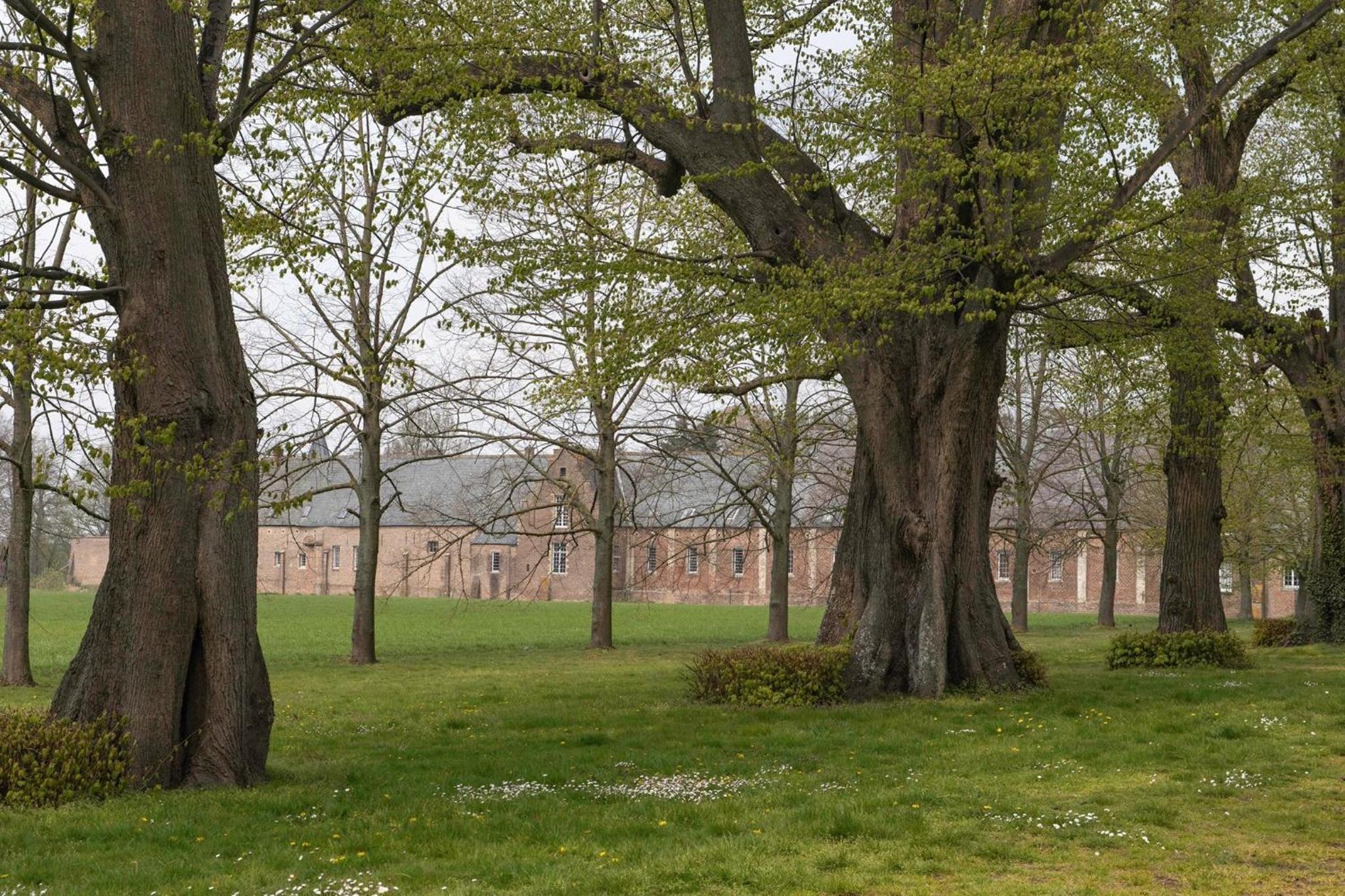 Beeltjens B&B: Wolf&Belle