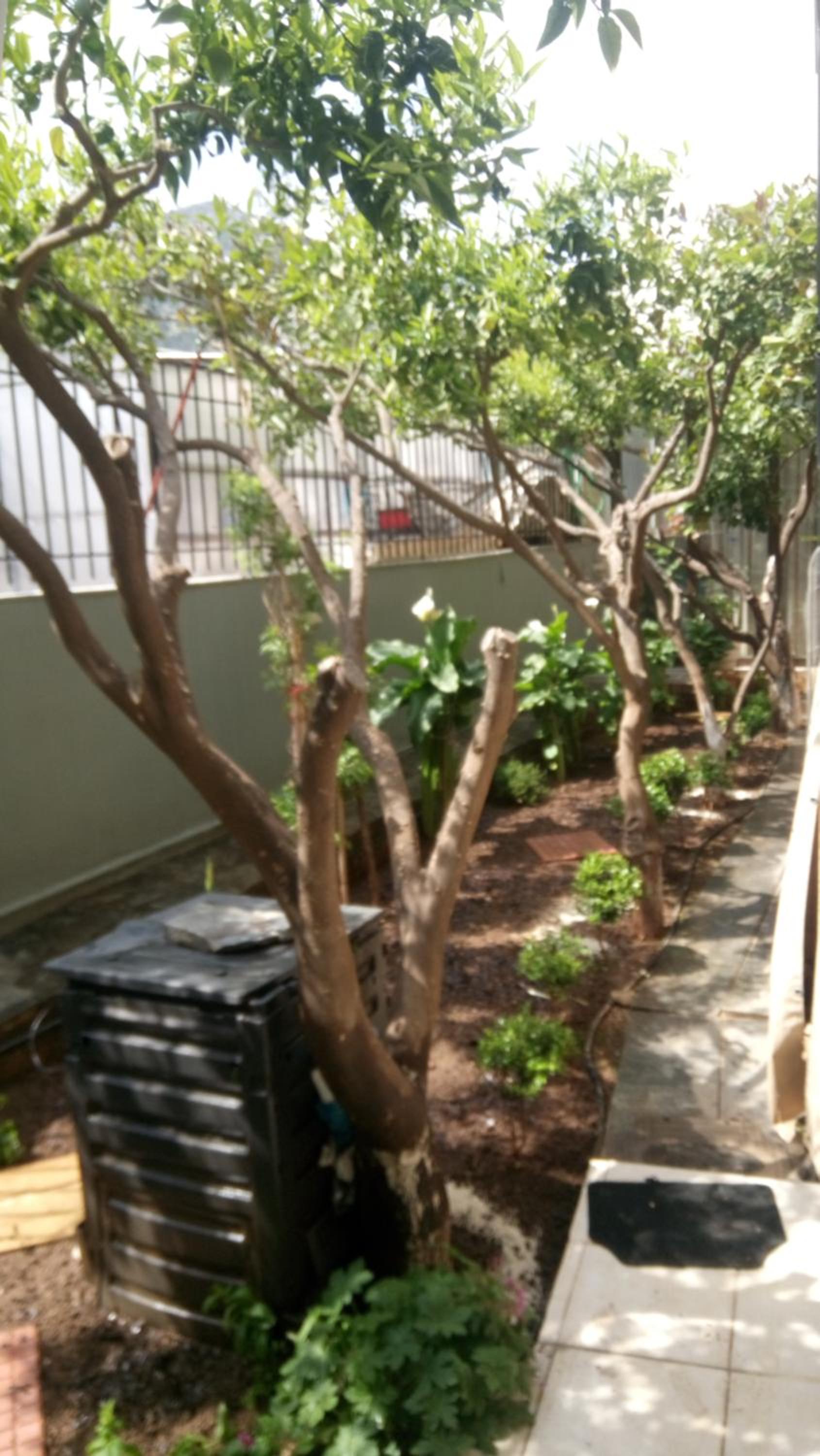 Photo 22