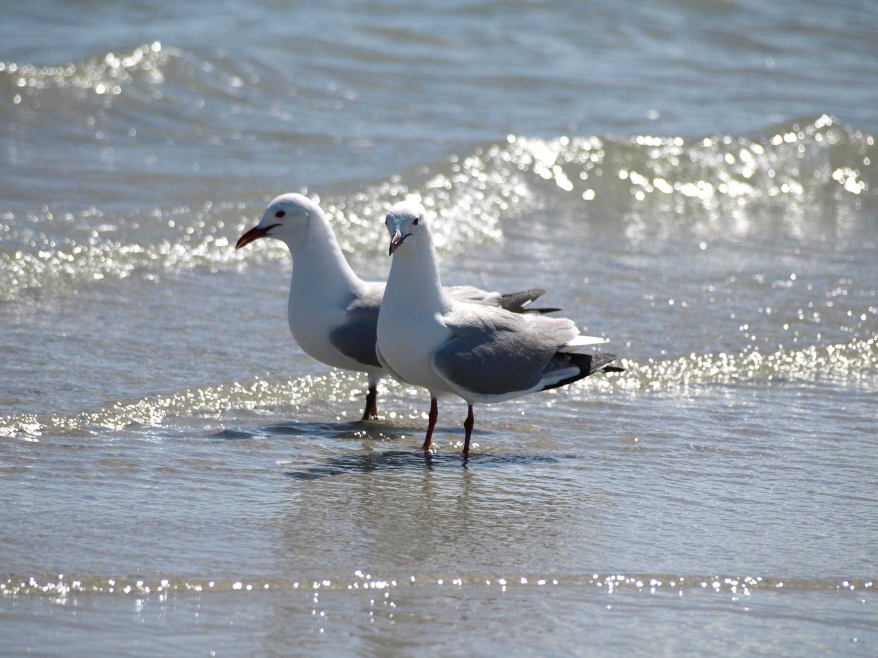 Photo 43