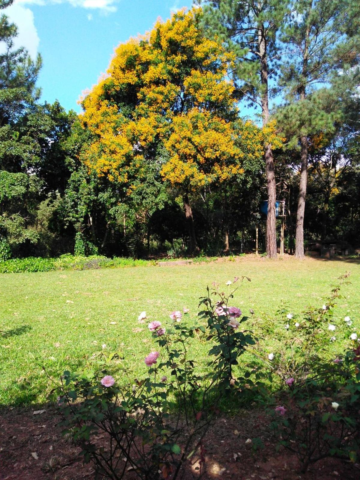 Sitio das Posses - Zona Rural