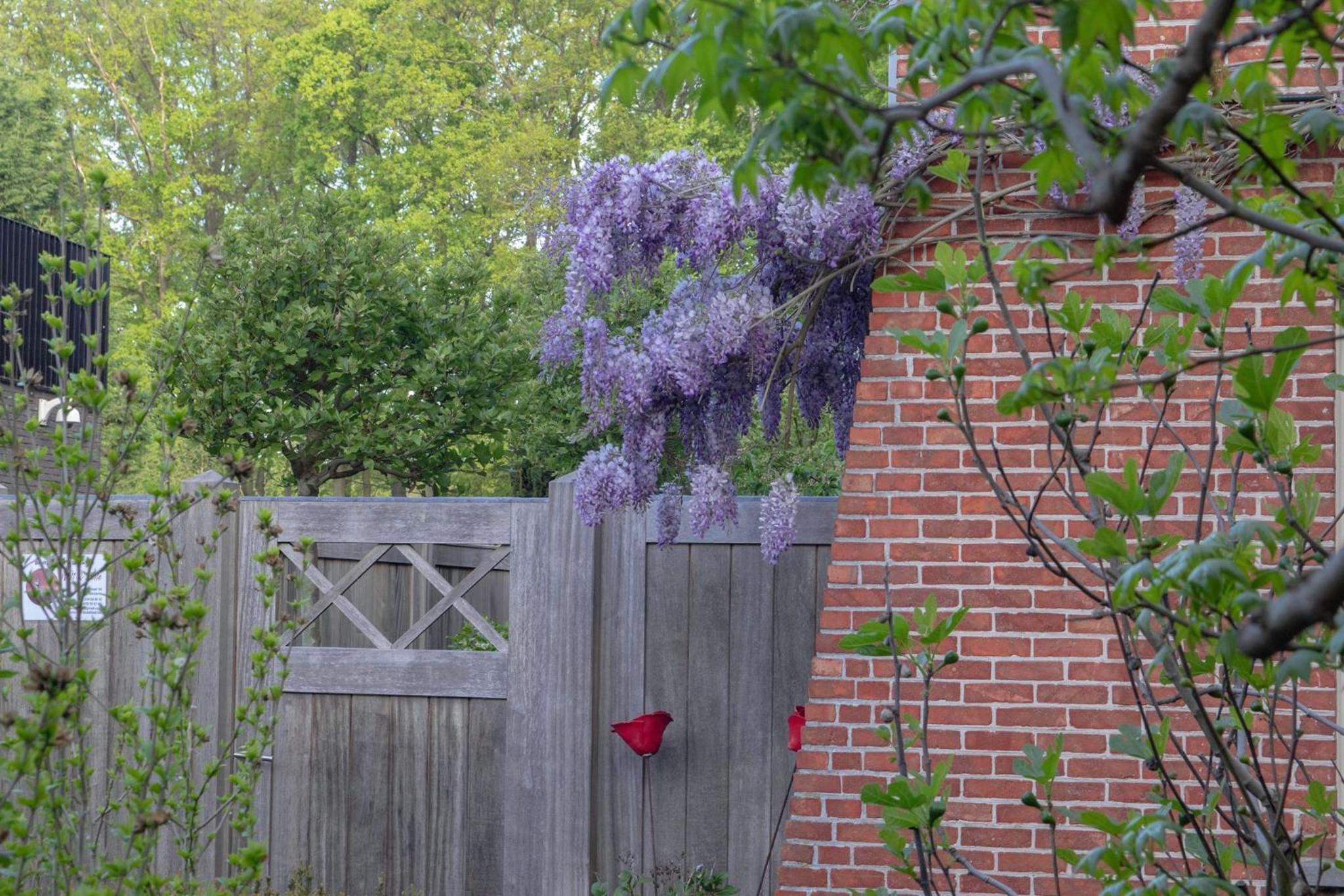 Beeltjens B&B: Wolf&Belle