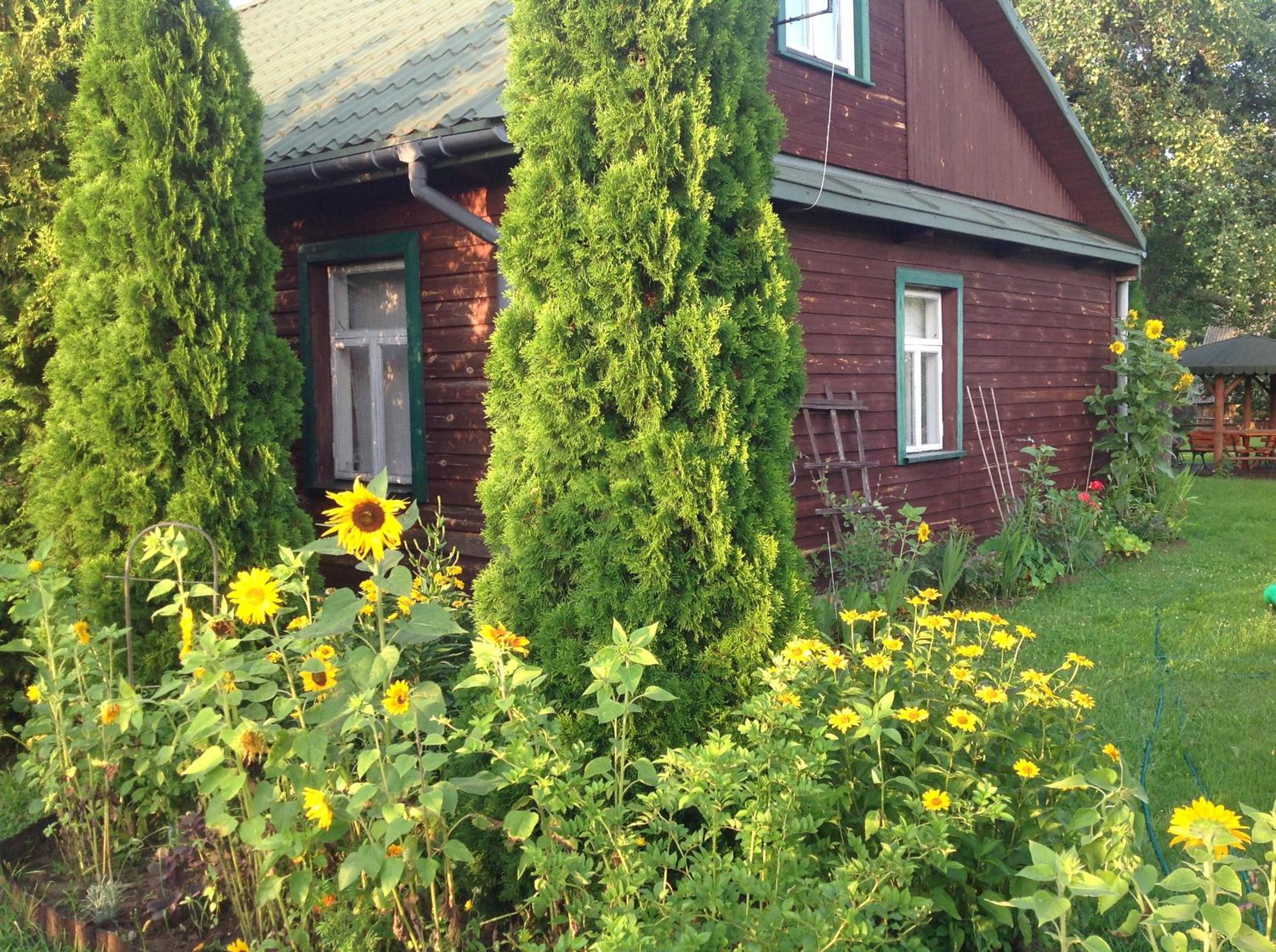 Photo 32