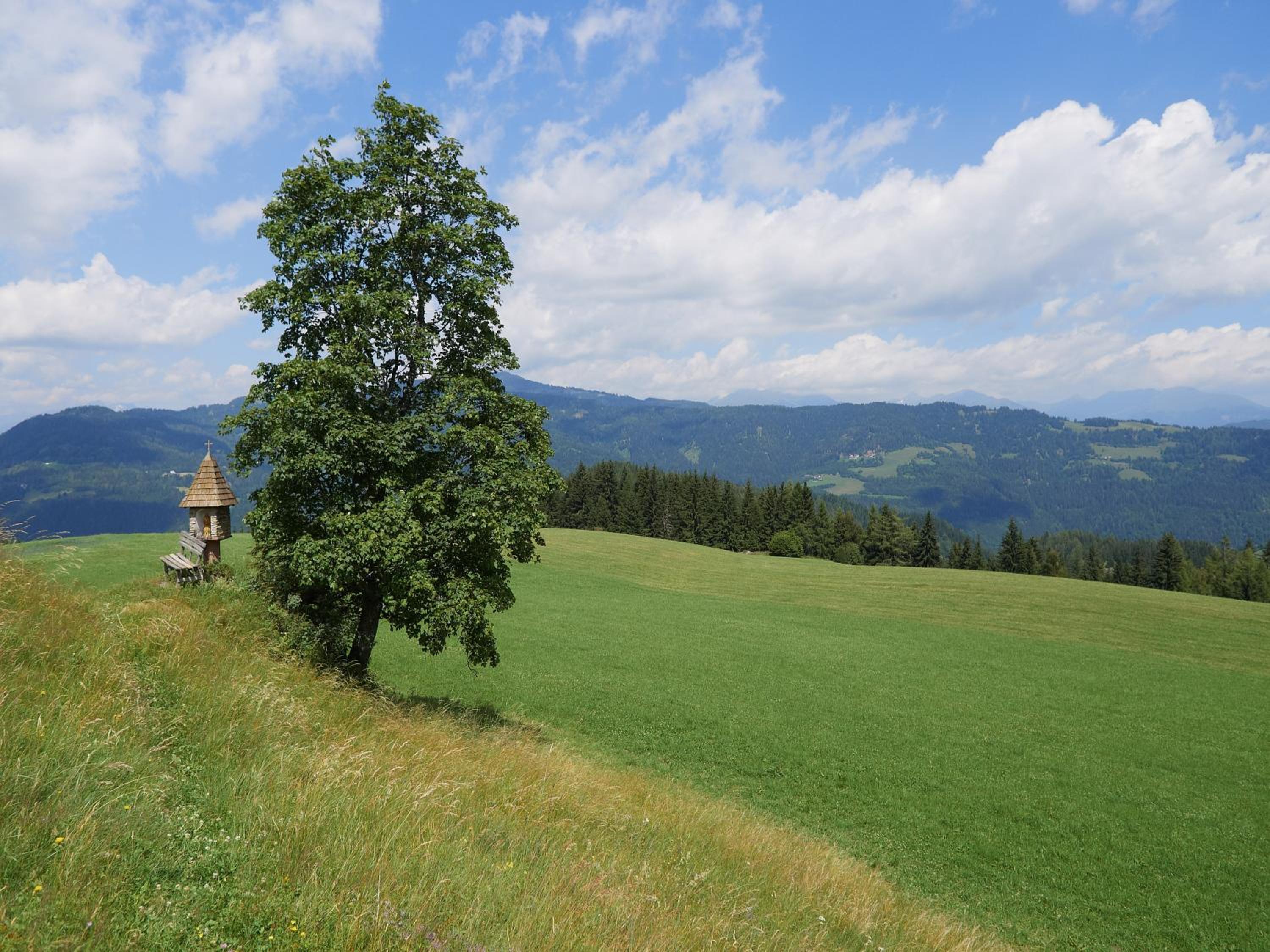 Alpengasthof Moser