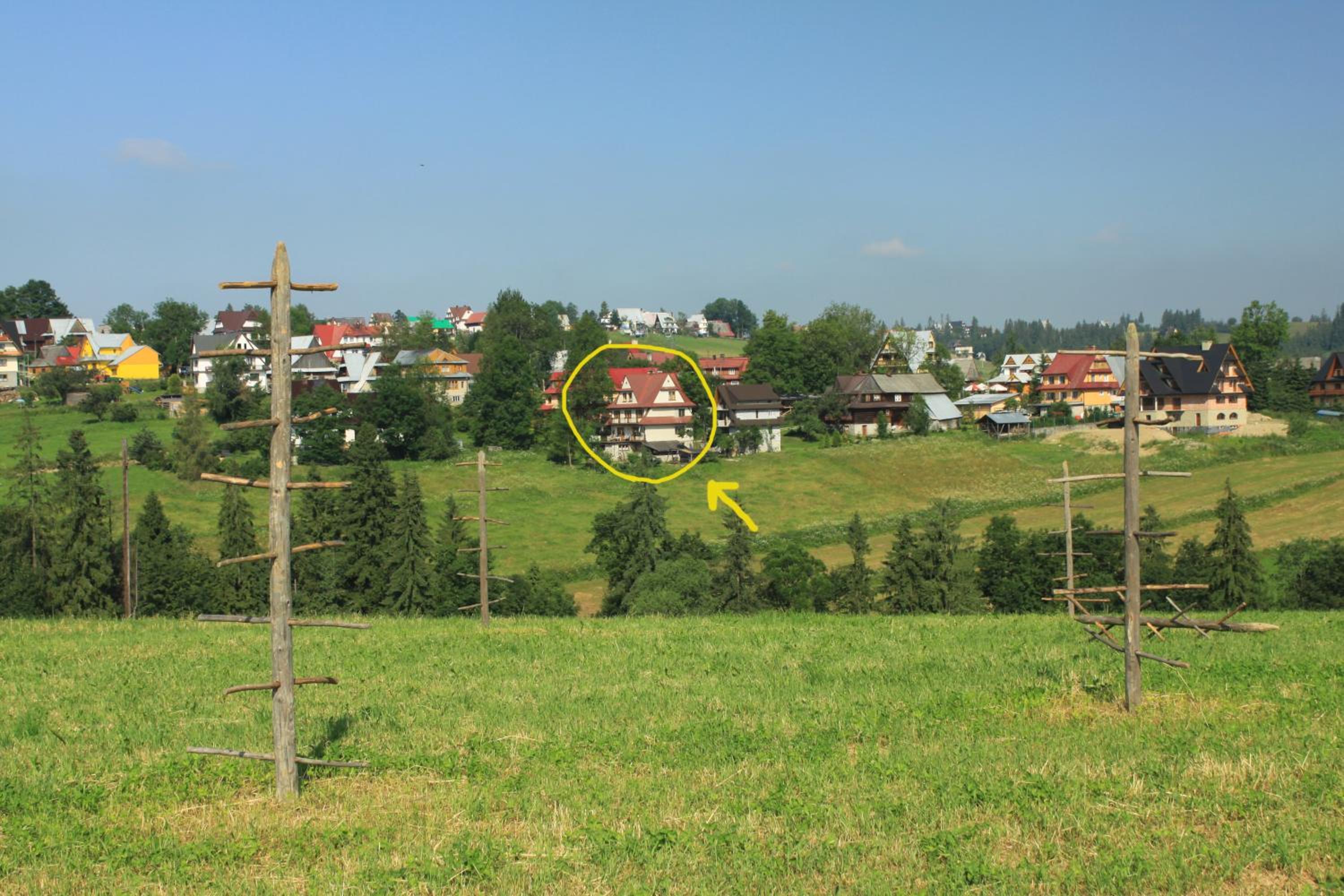 Photo 51