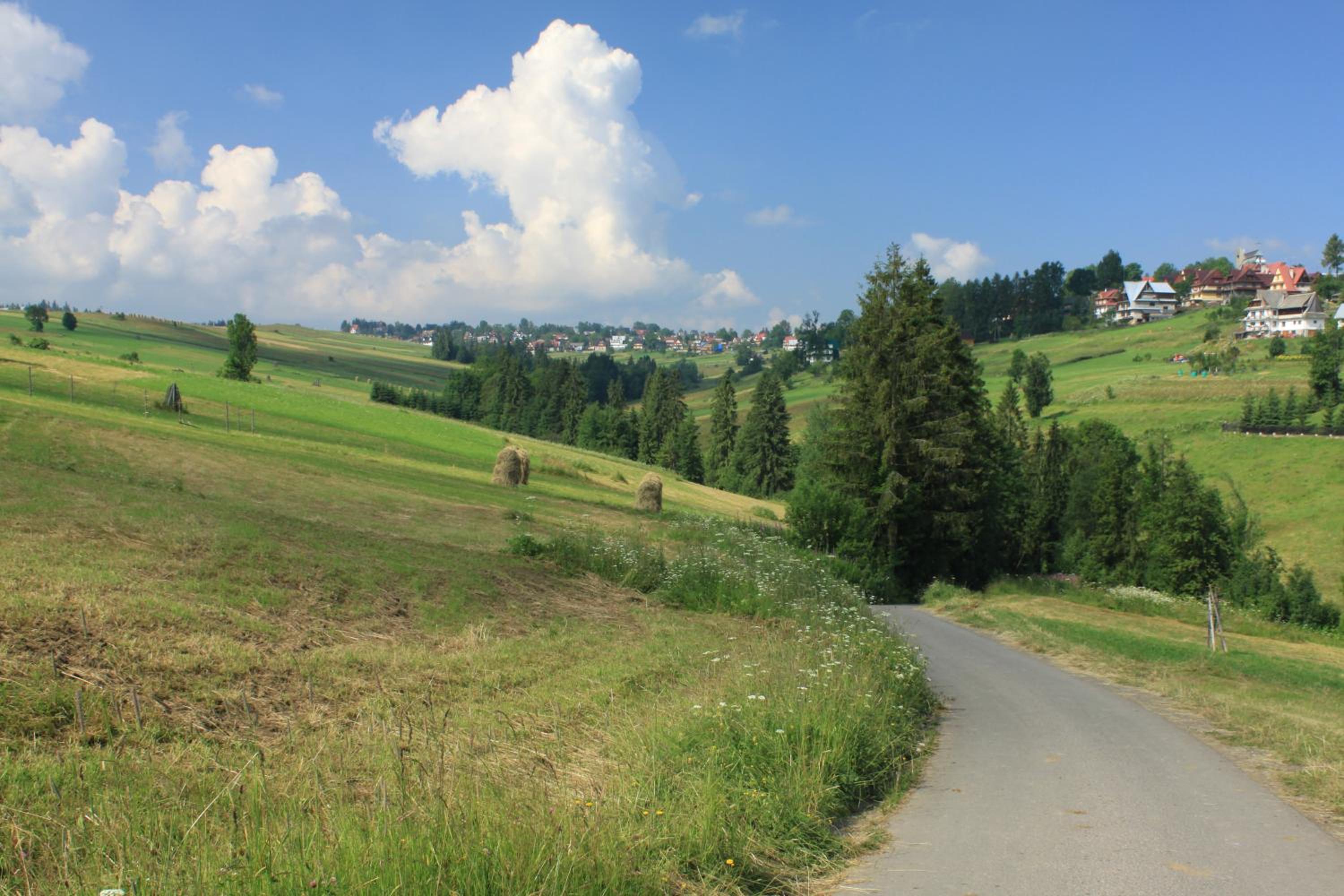Photo 50