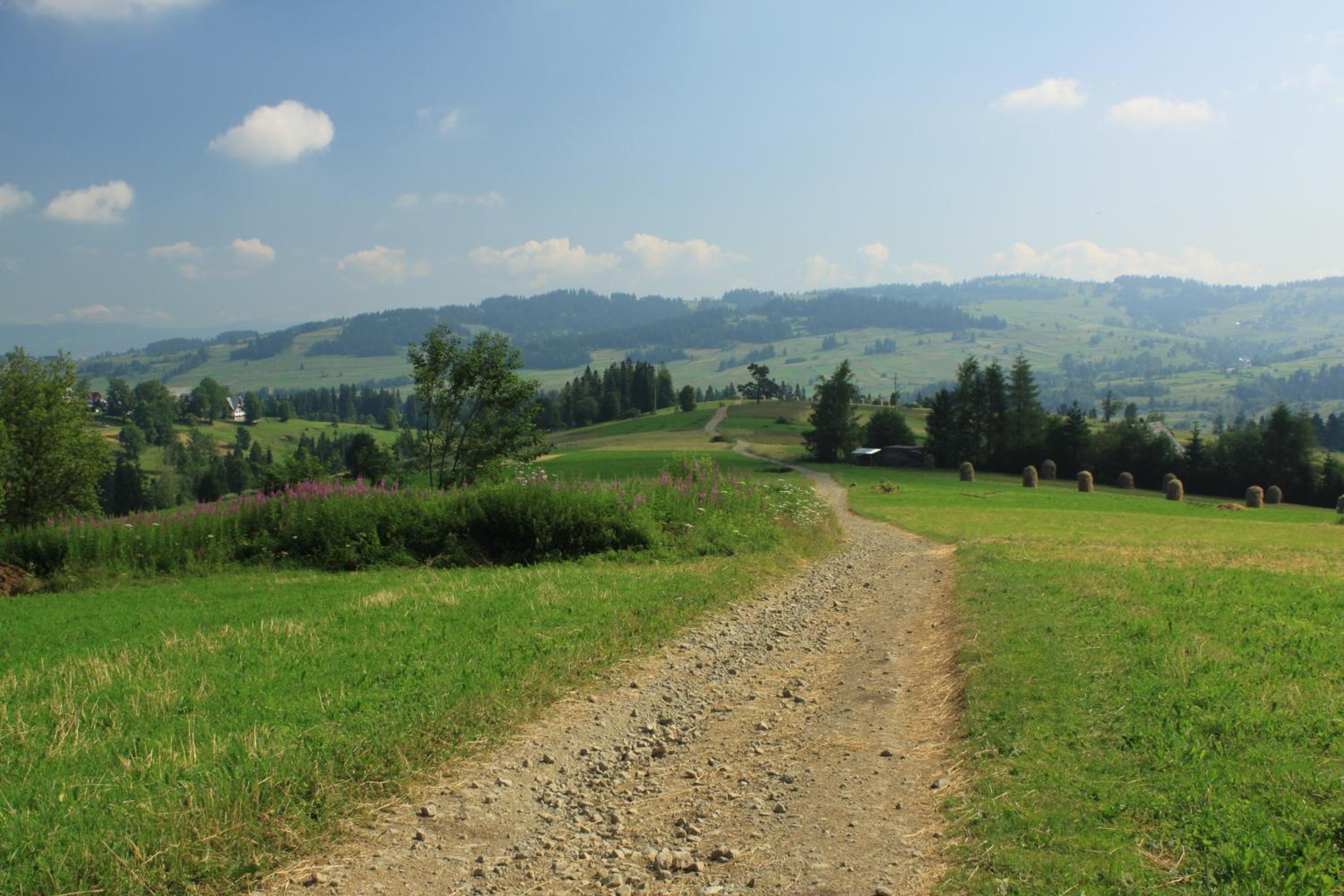 Photo 49