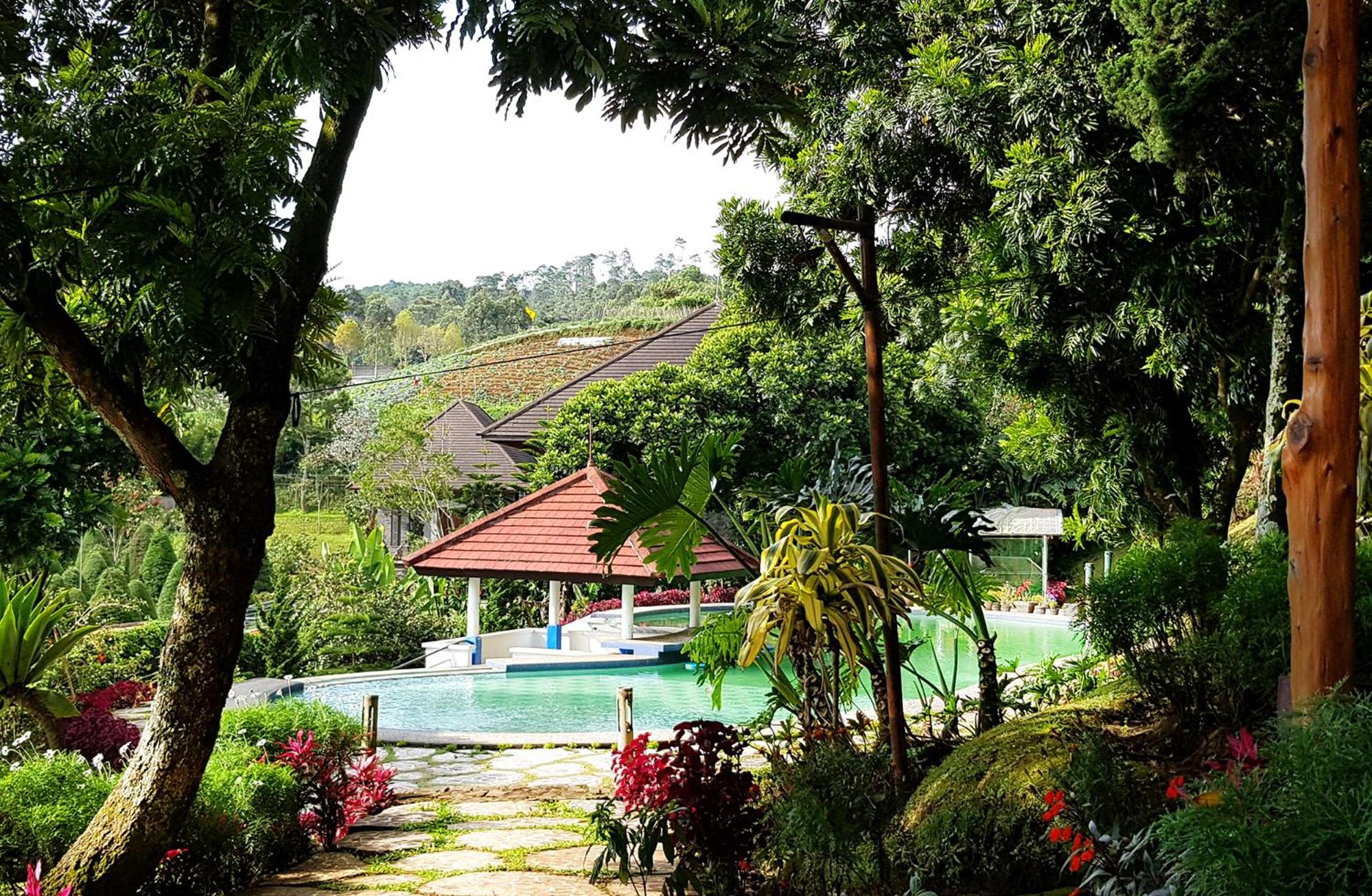 Bamboo Village by Villa view 3