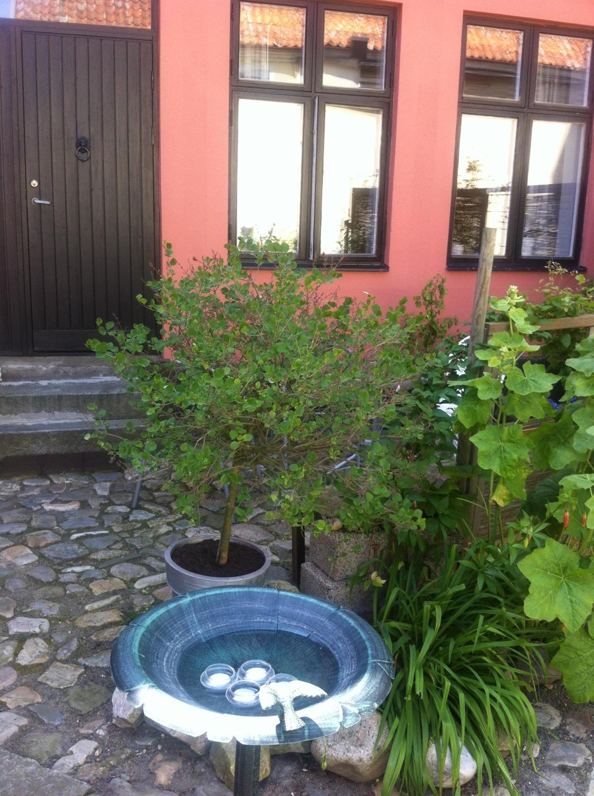 Gamla Stan Simrishamn
