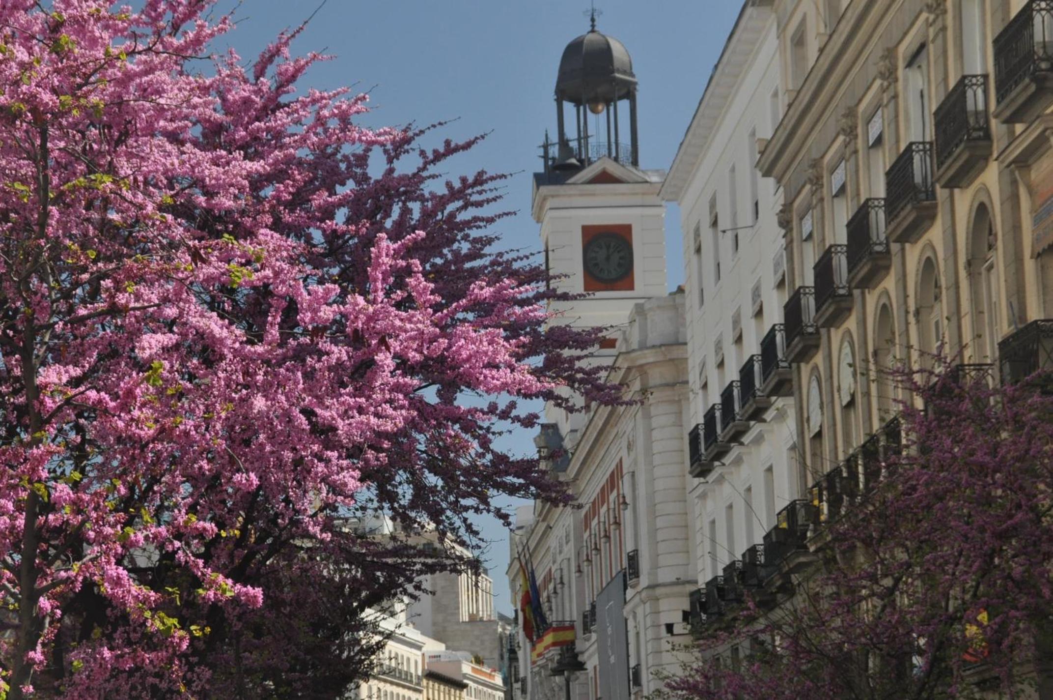 Hostal Patria Madrid