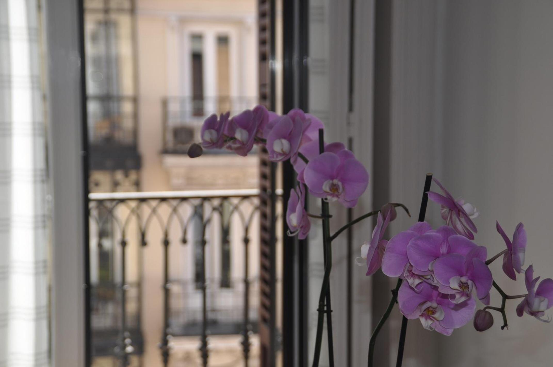 Hostal Patria Madrid