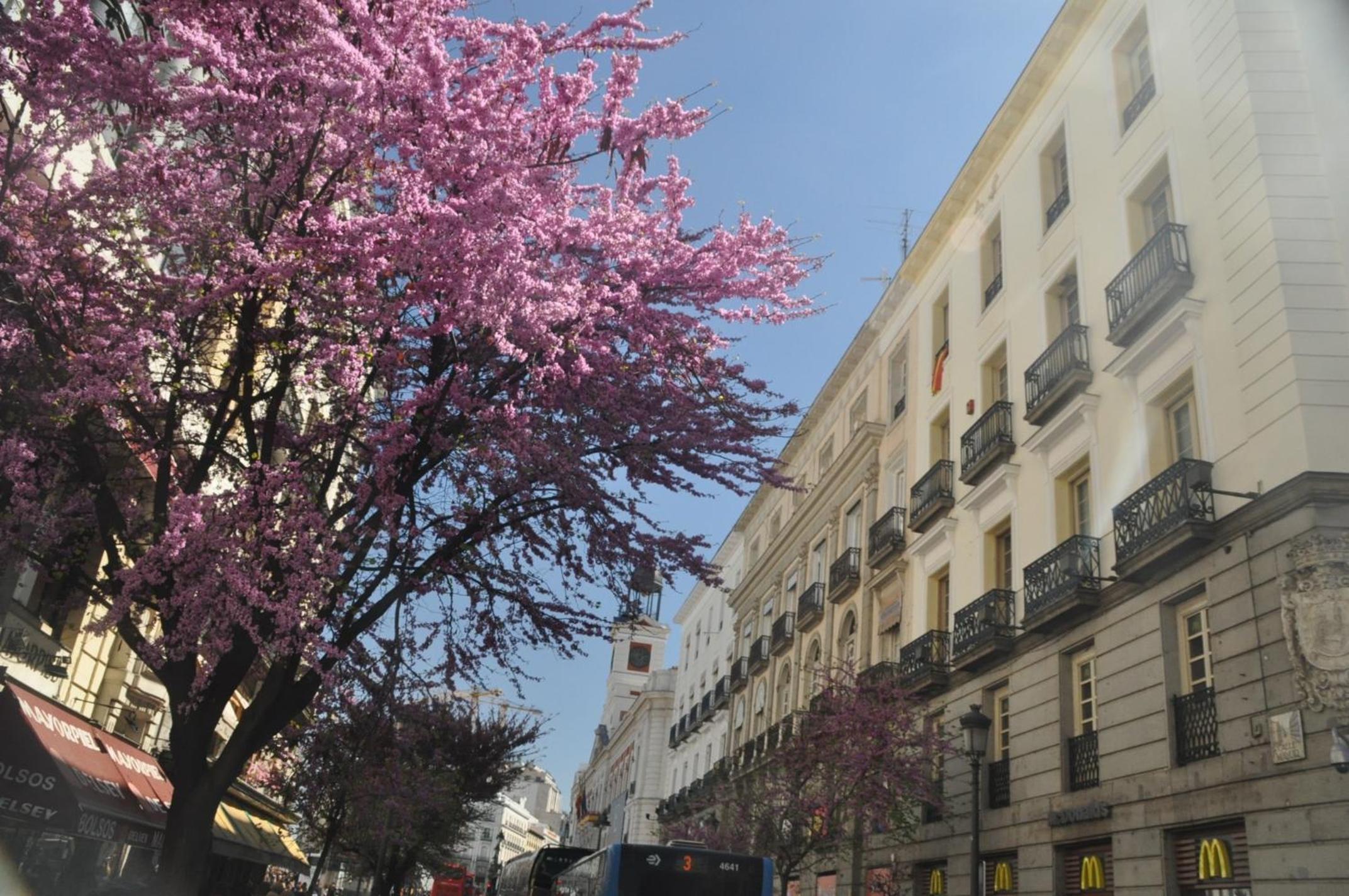 Hostal Patria Madrid