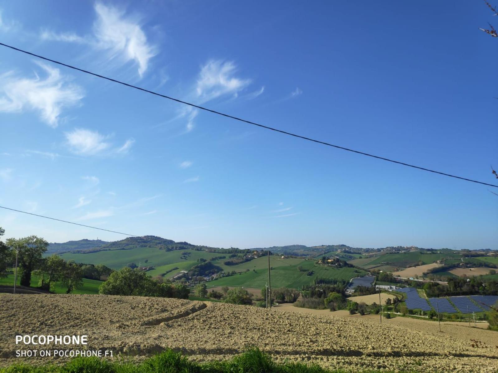 IMMERSA NEL VERDE en Osimo