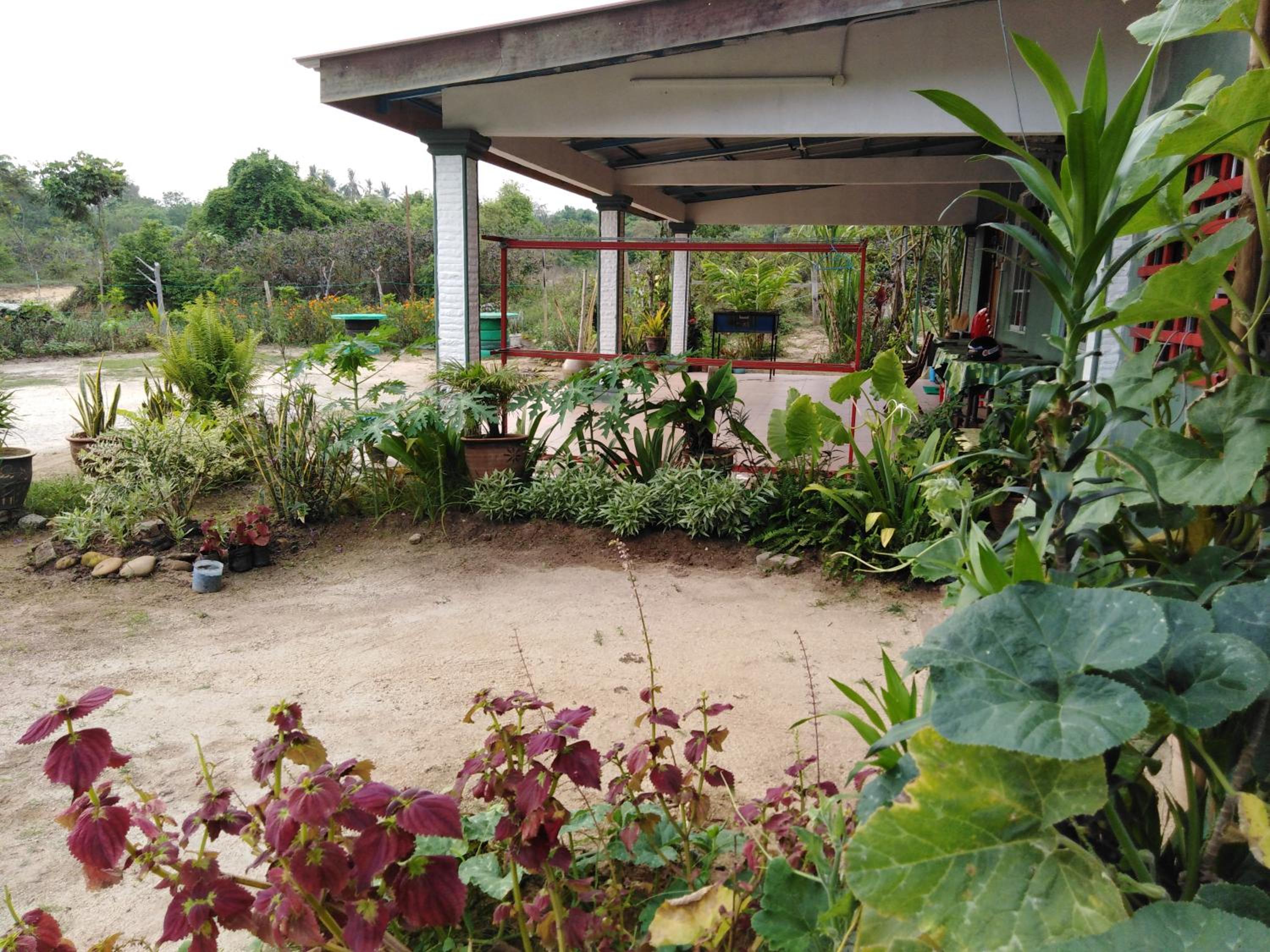 Photo 42