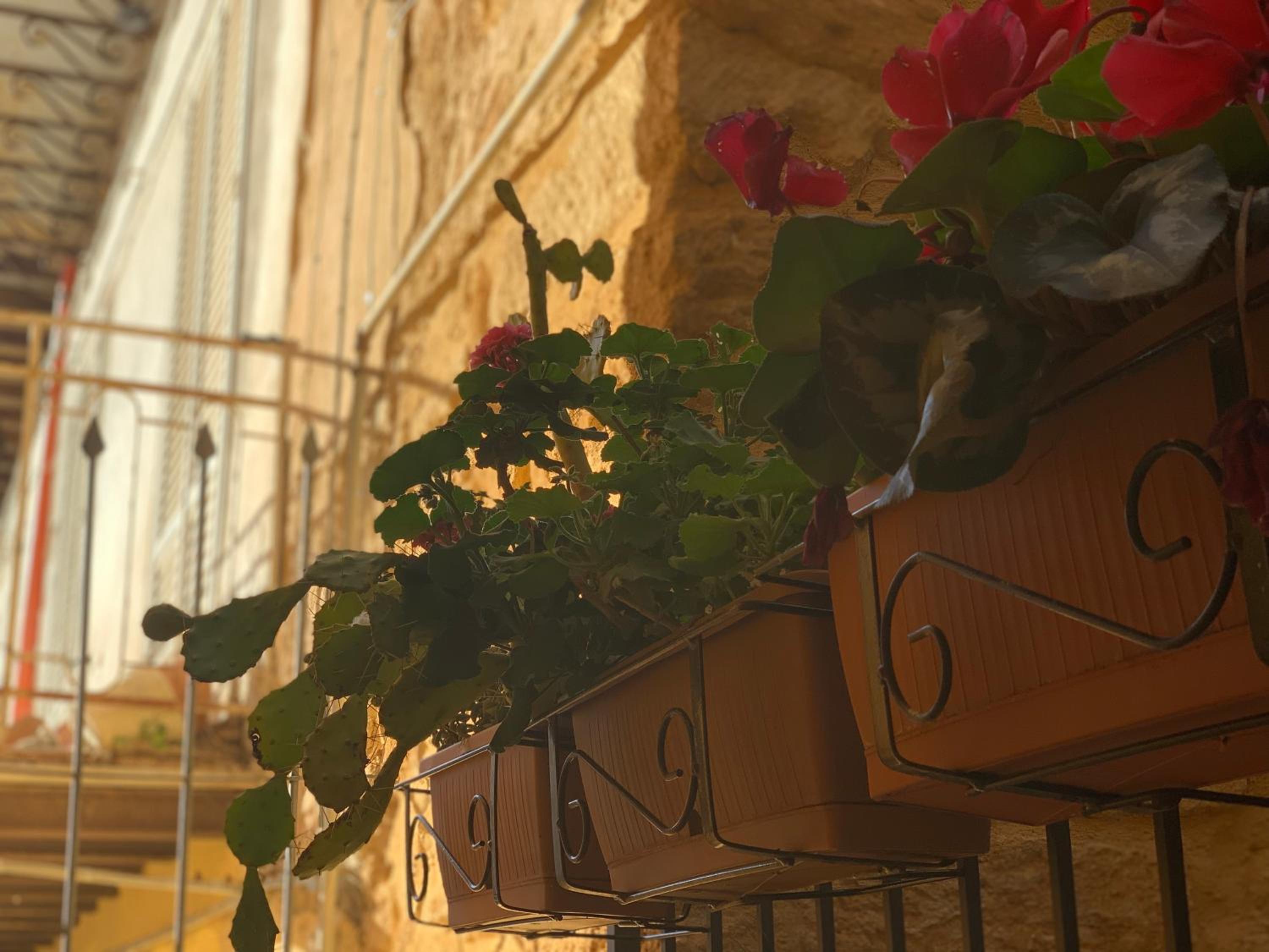 Piano di Gamez Apartments