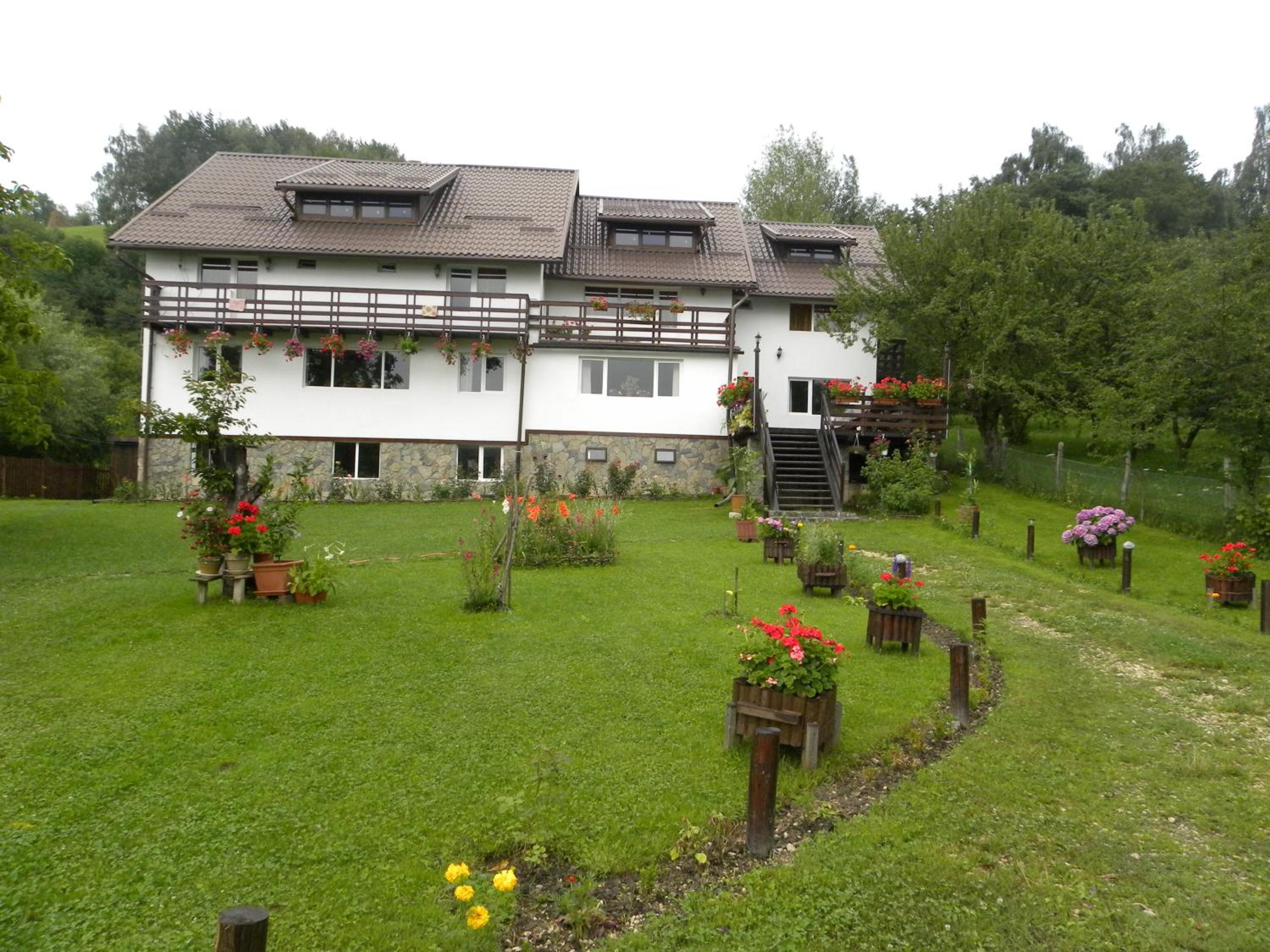 Pensiunea Cerbul Carpatin view 3