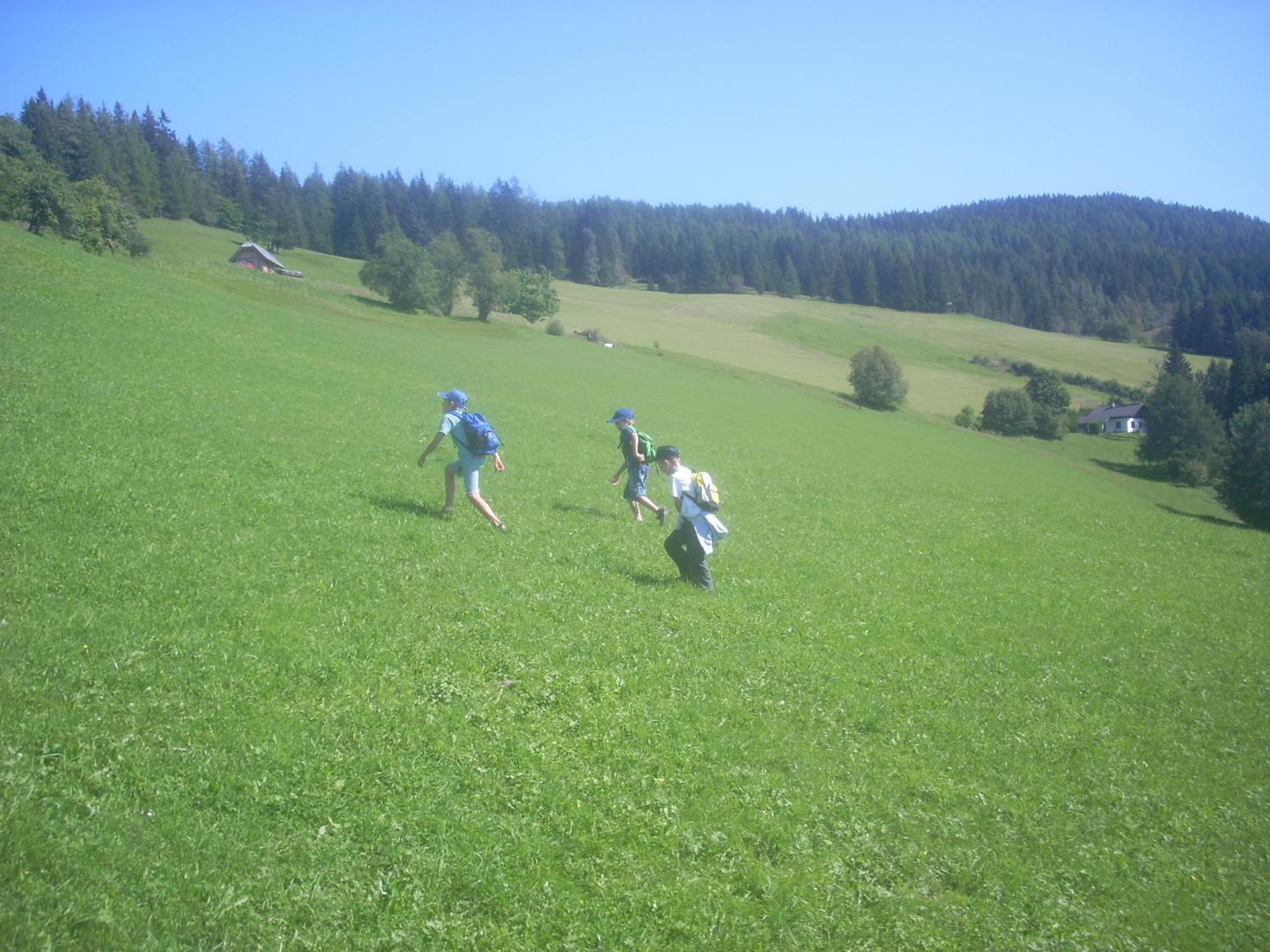 Alpengasthof Moser