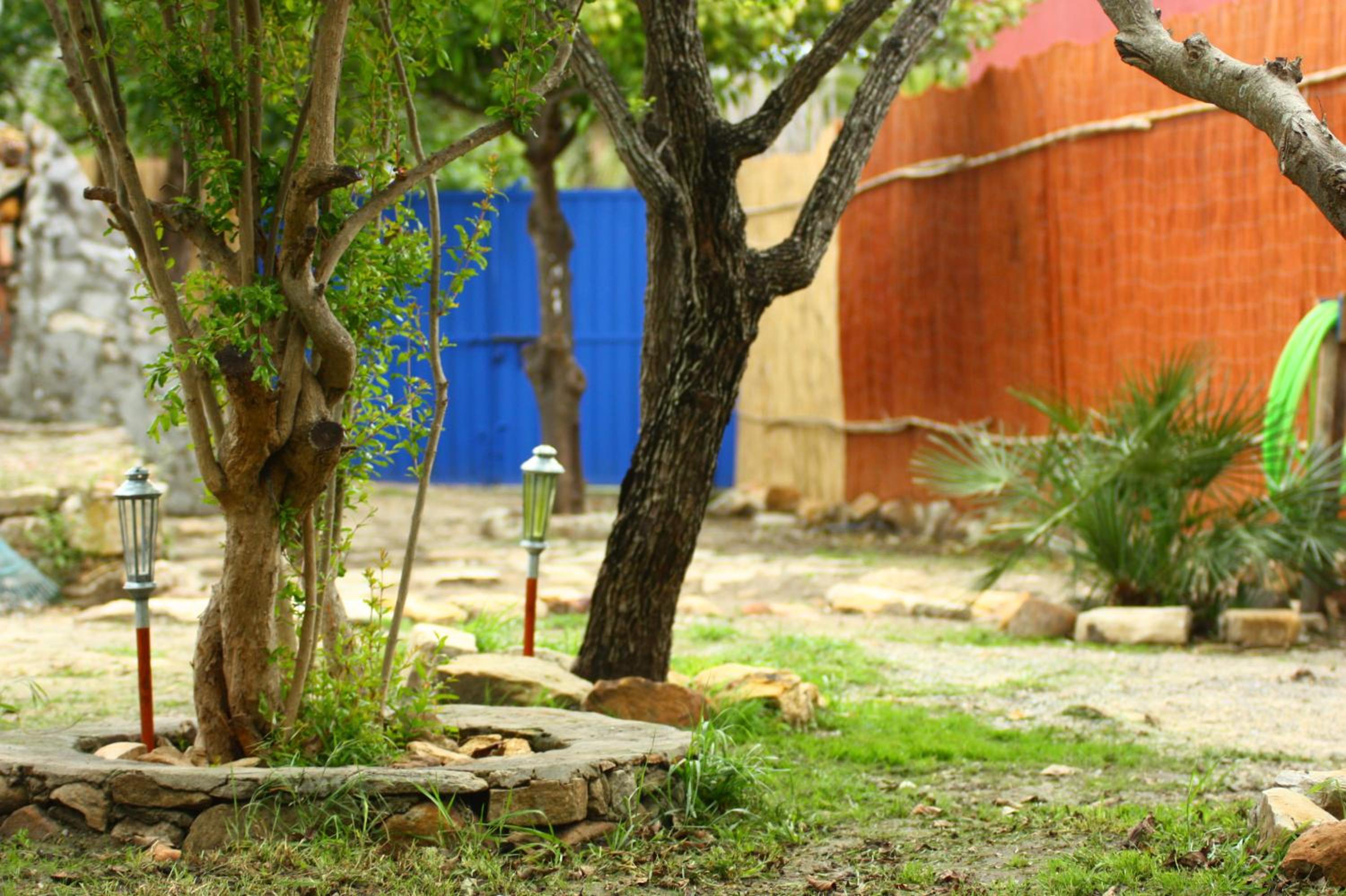 Photo 21