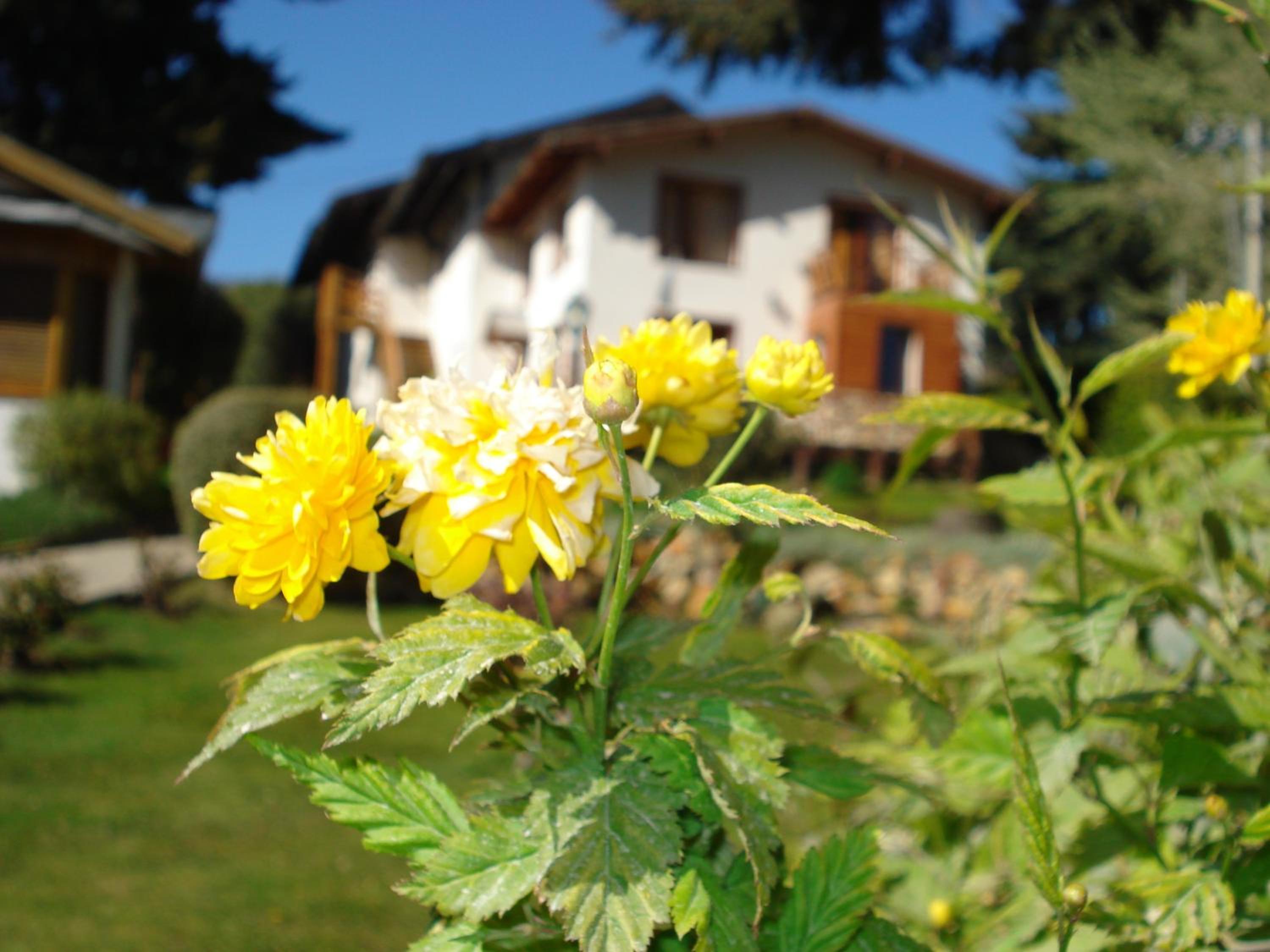 Mont Blanc Bungalows