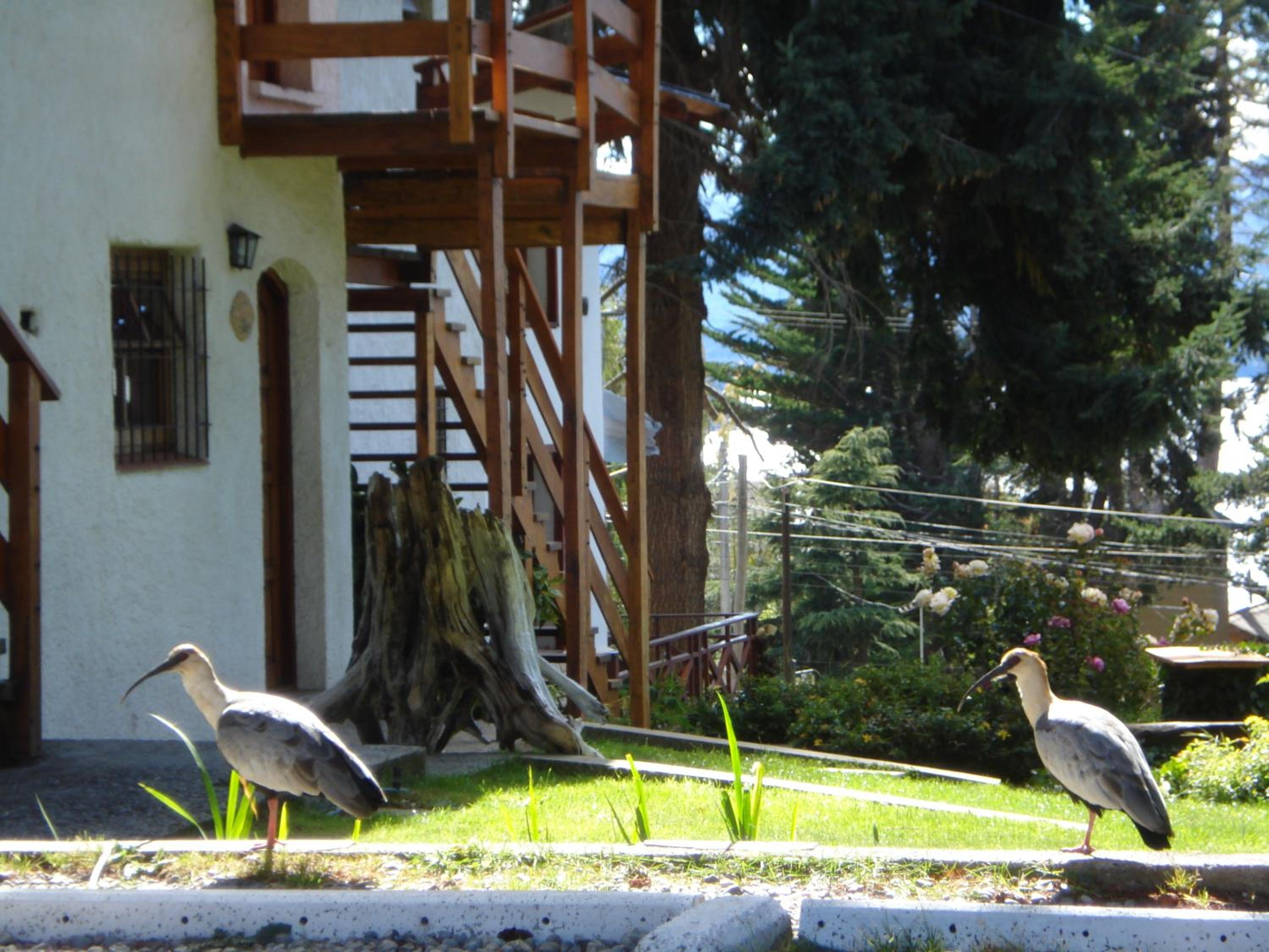 Mont Blanc Bungalows