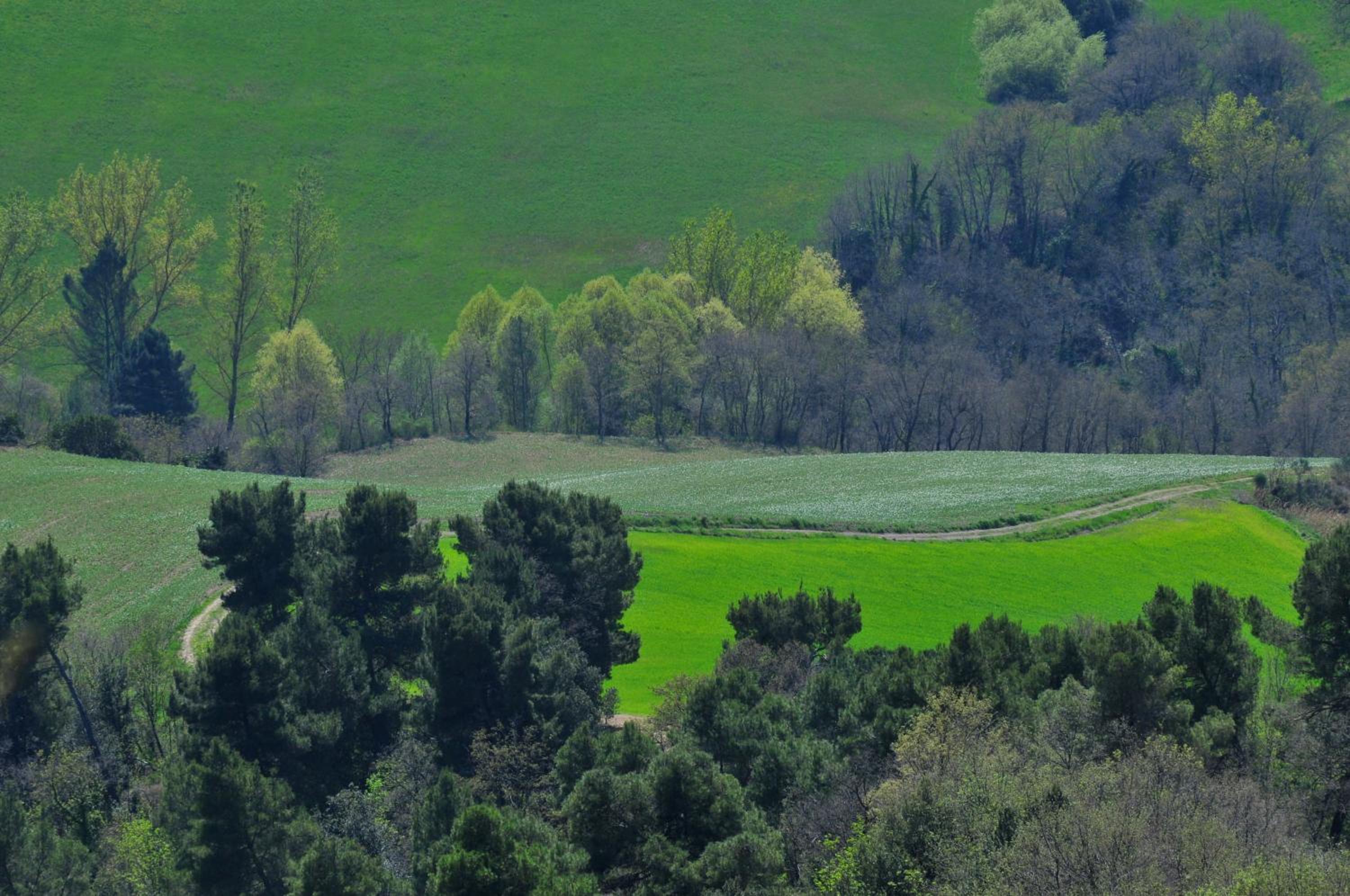 La Ghirlanda Wine Resort