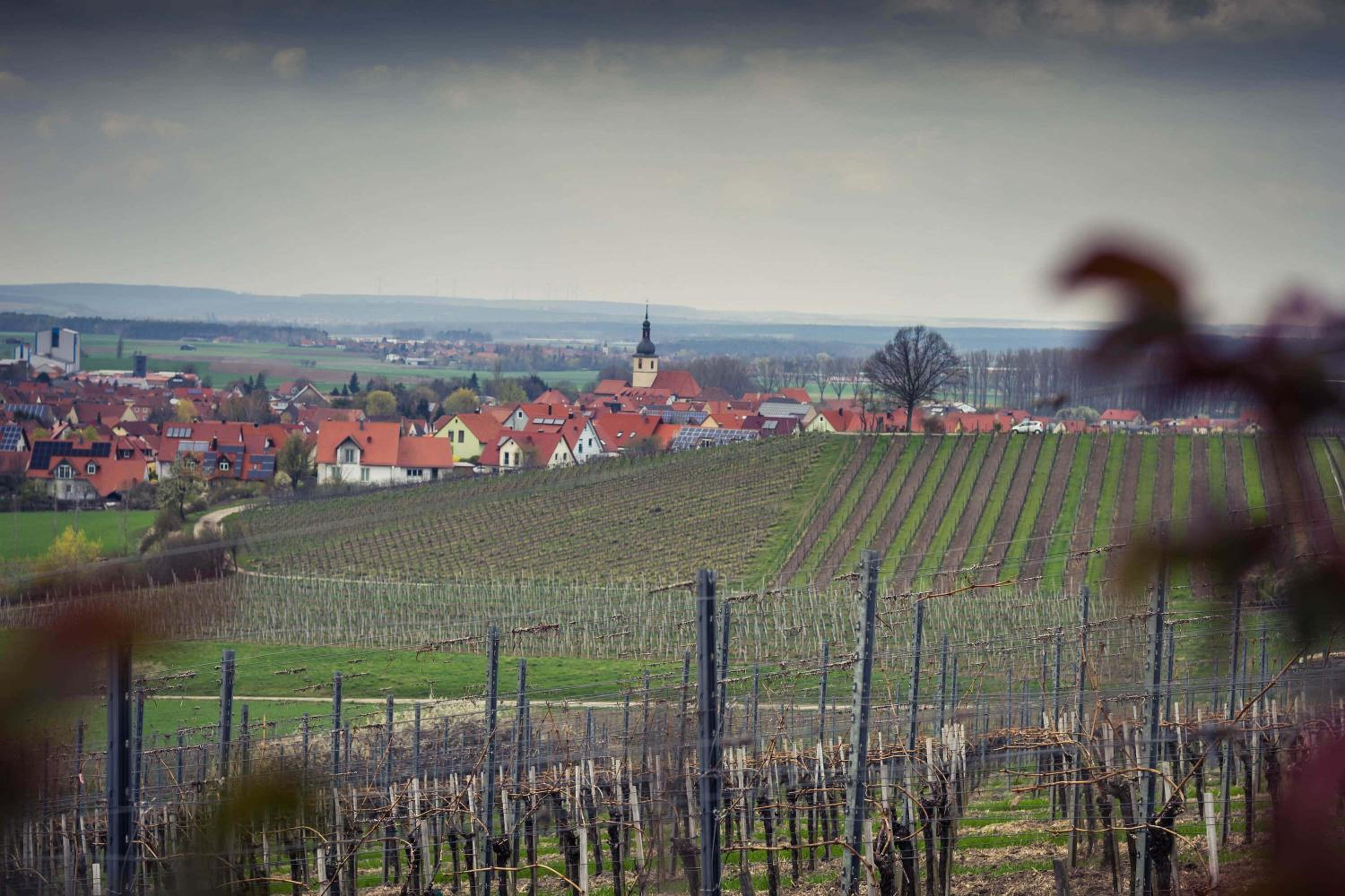 Landhotel und Weingasthof Schwarzer Adler