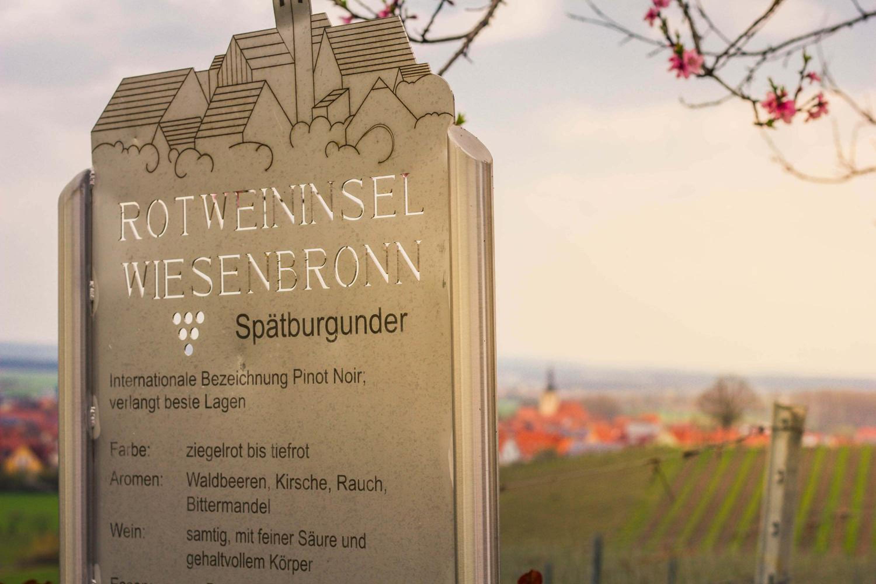 Landhotel und Weingasthof Schwarzer Adler