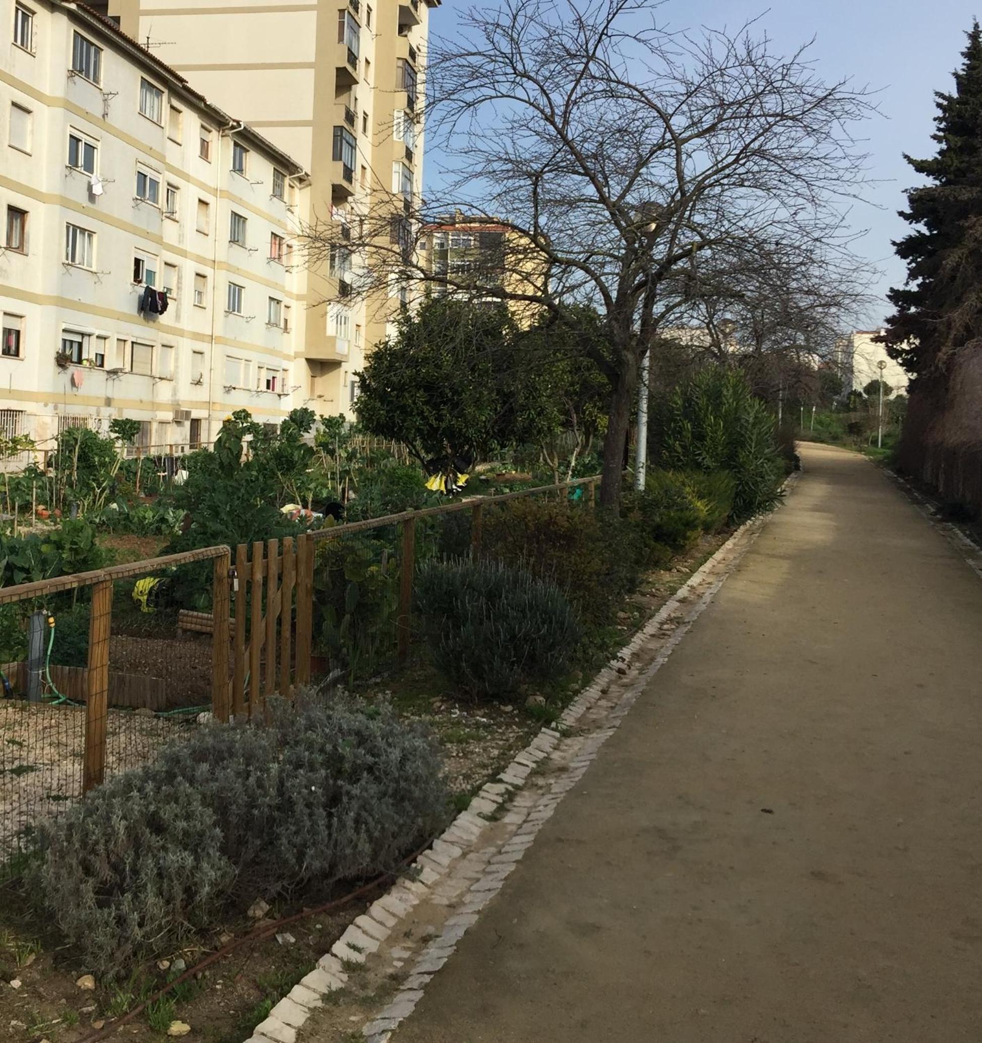 Photo 43