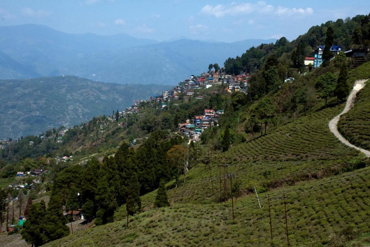 Yashita Homestay