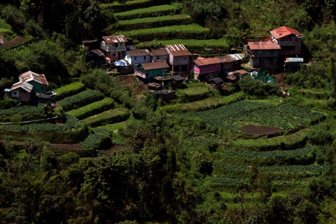 Yashita Homestay