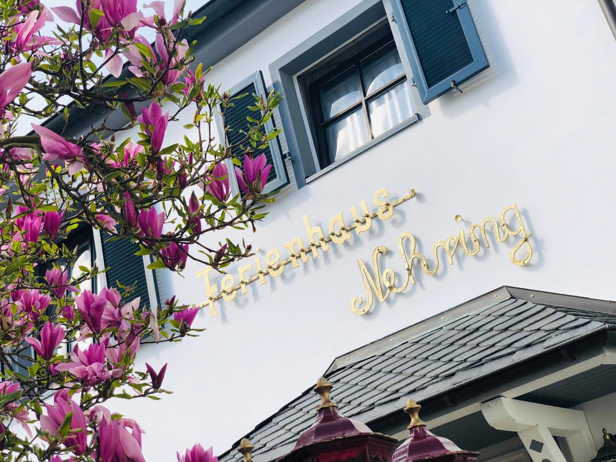 Ferienhaus Nehring