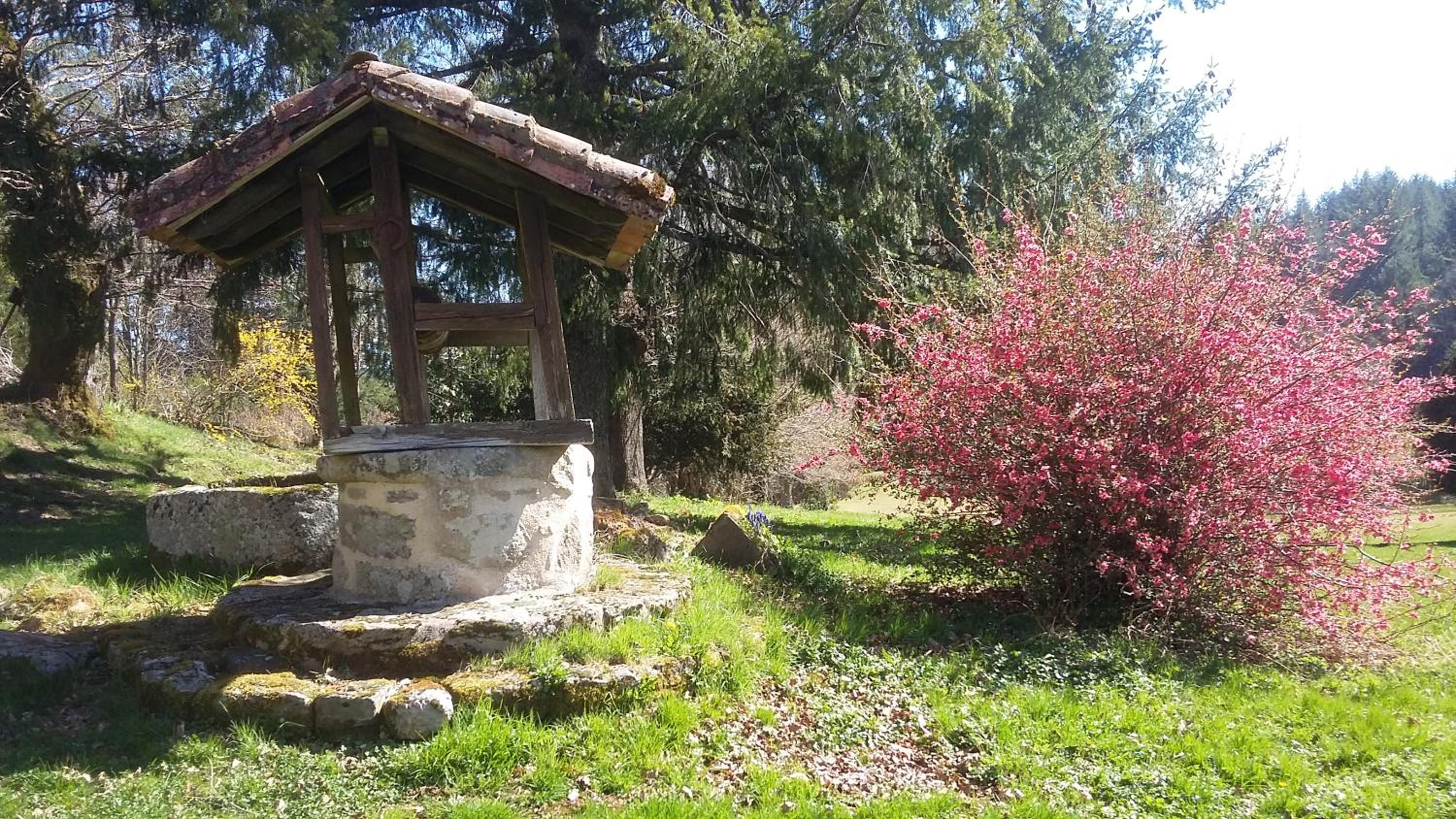 Photo 8