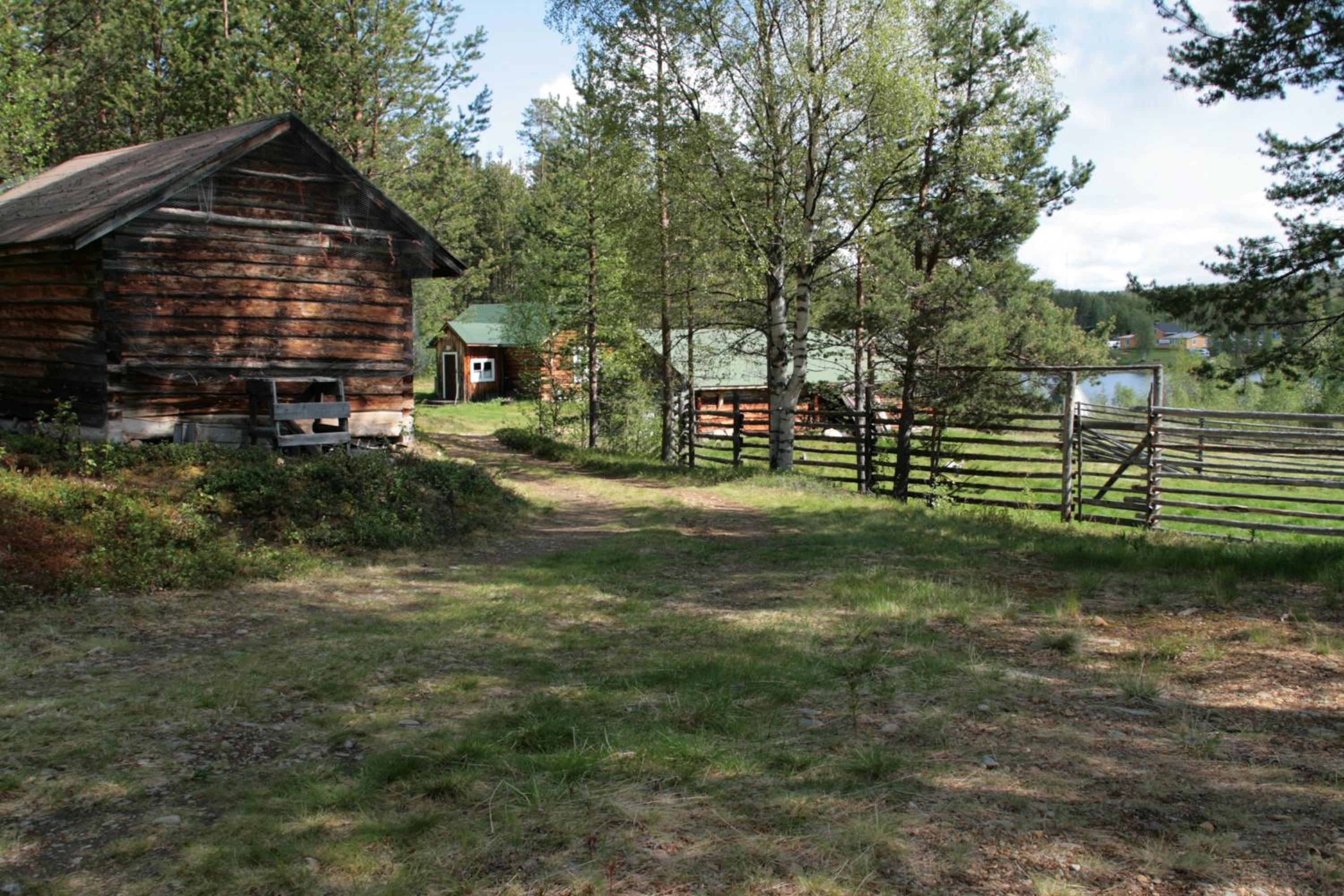 Photo 7