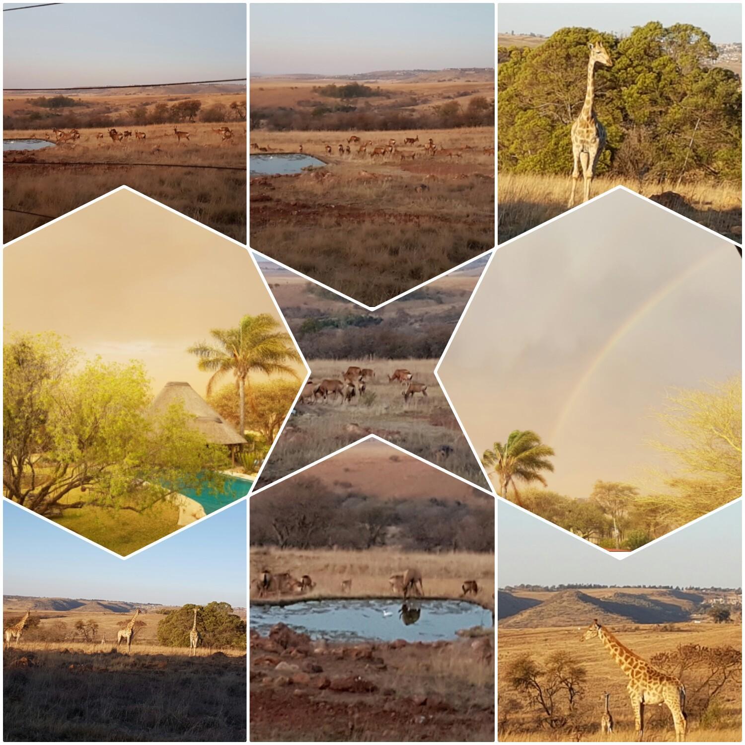 Rocky Aloe Escape view 4
