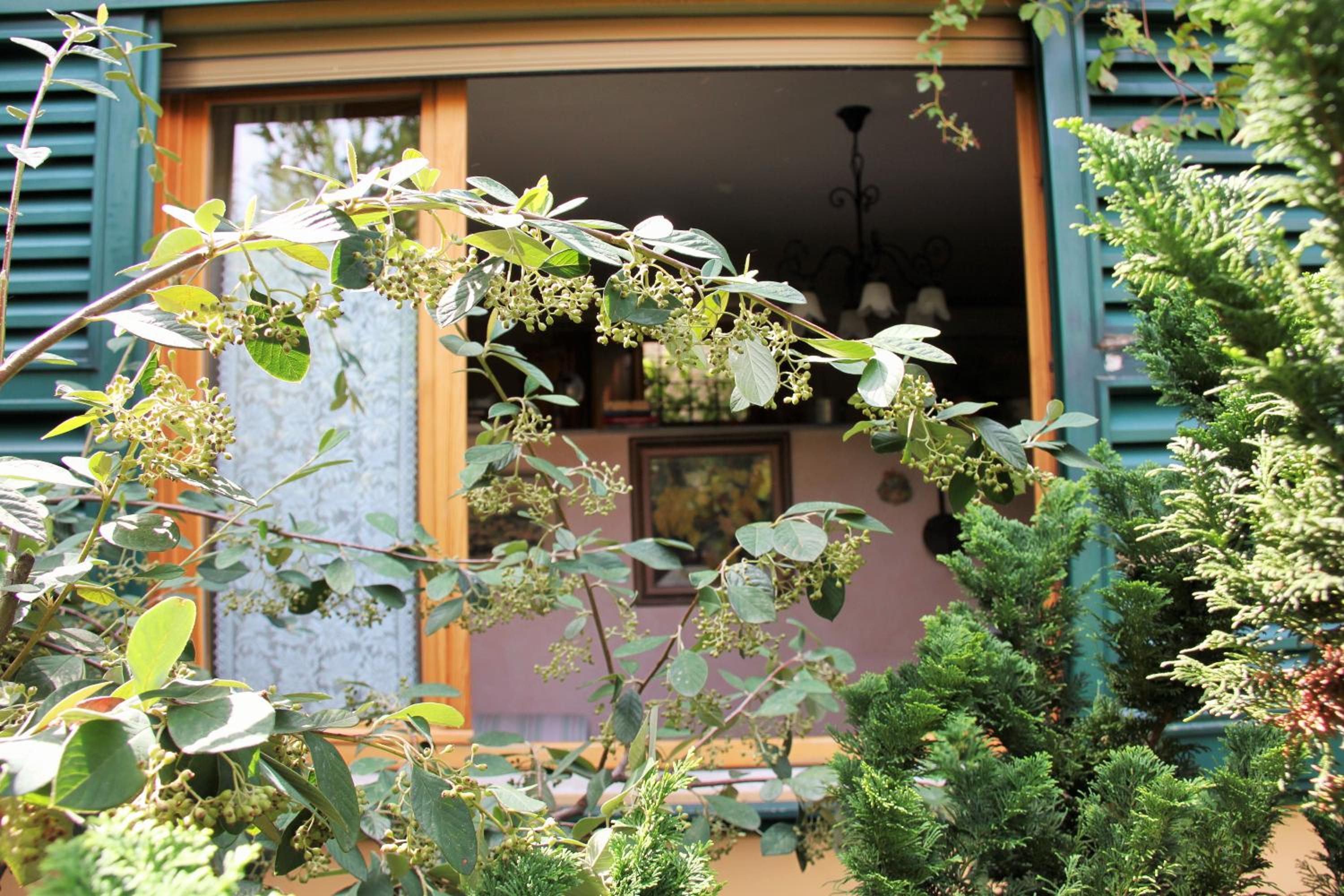 Studios Garden Terrace Oltrarno