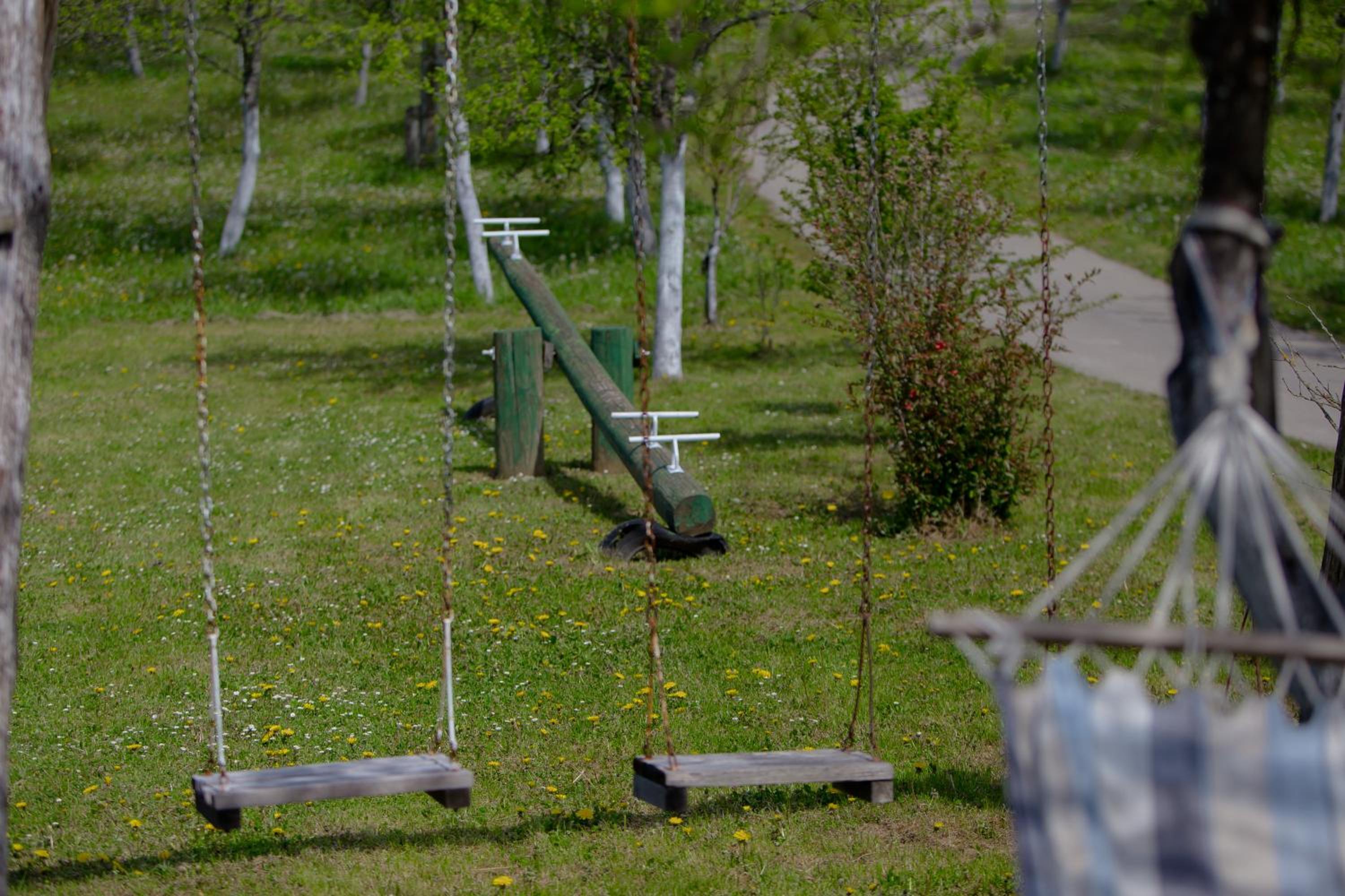 Photo 42