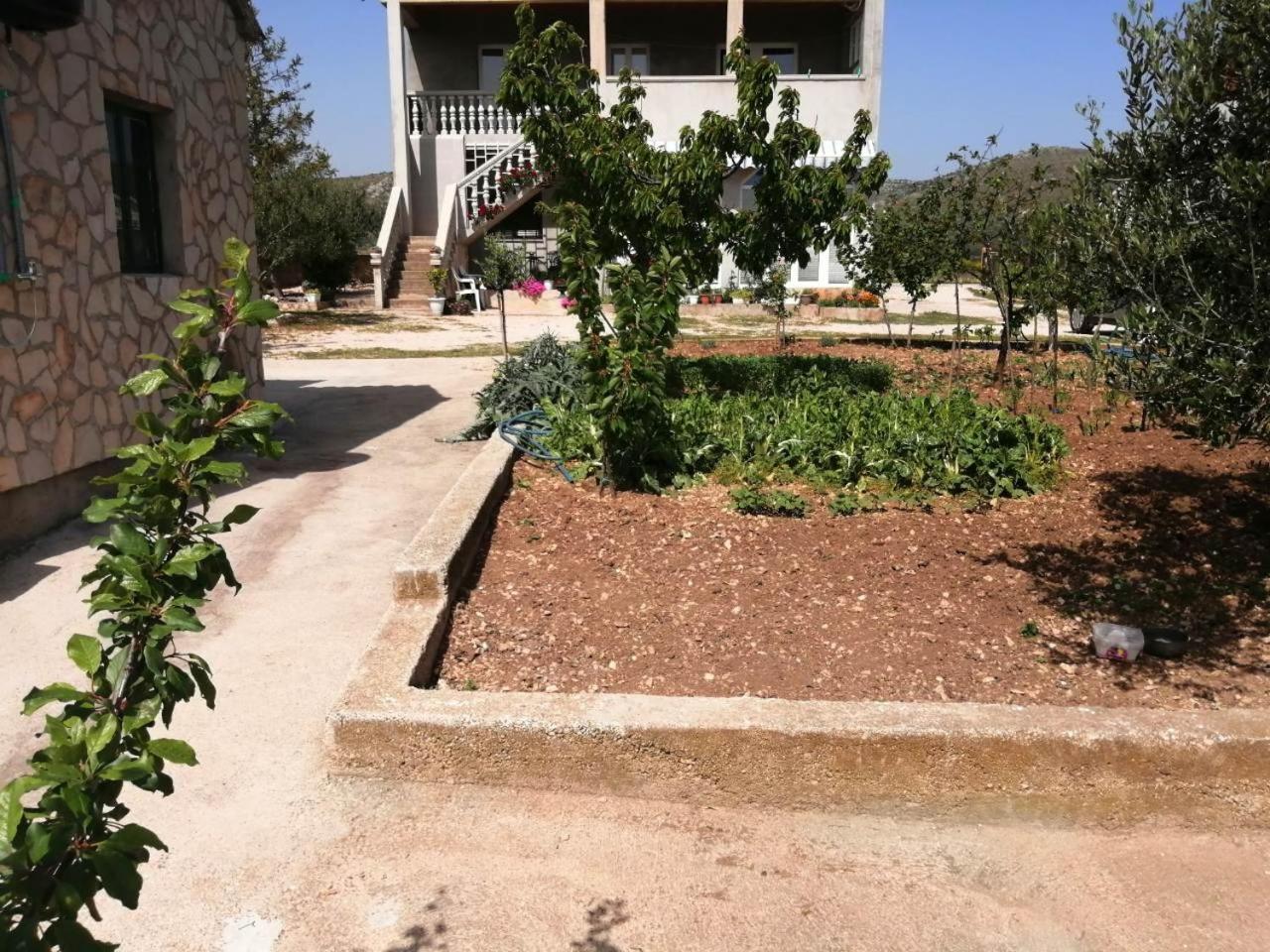 Photo 43