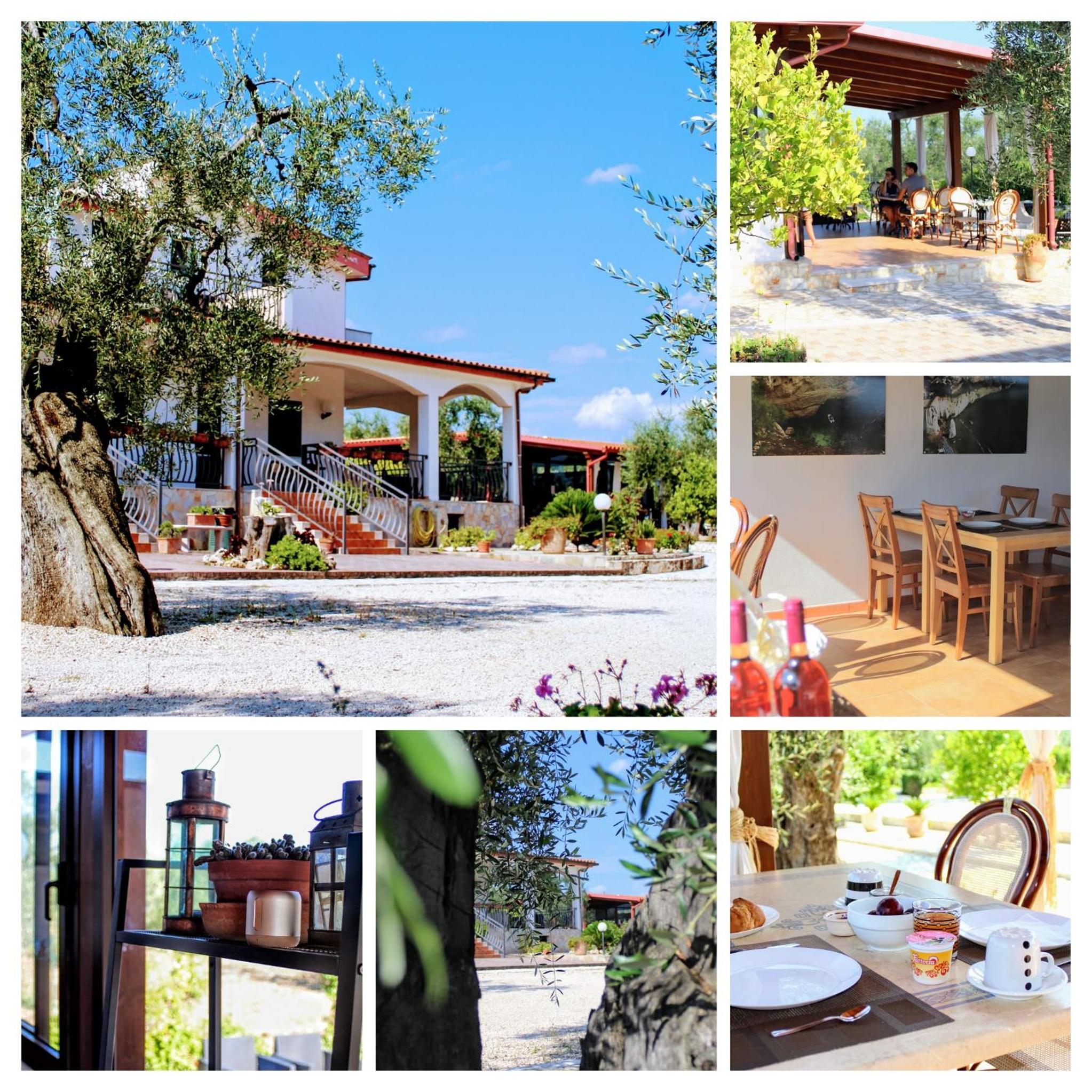 Villavesta Bed And Breakfast view 4