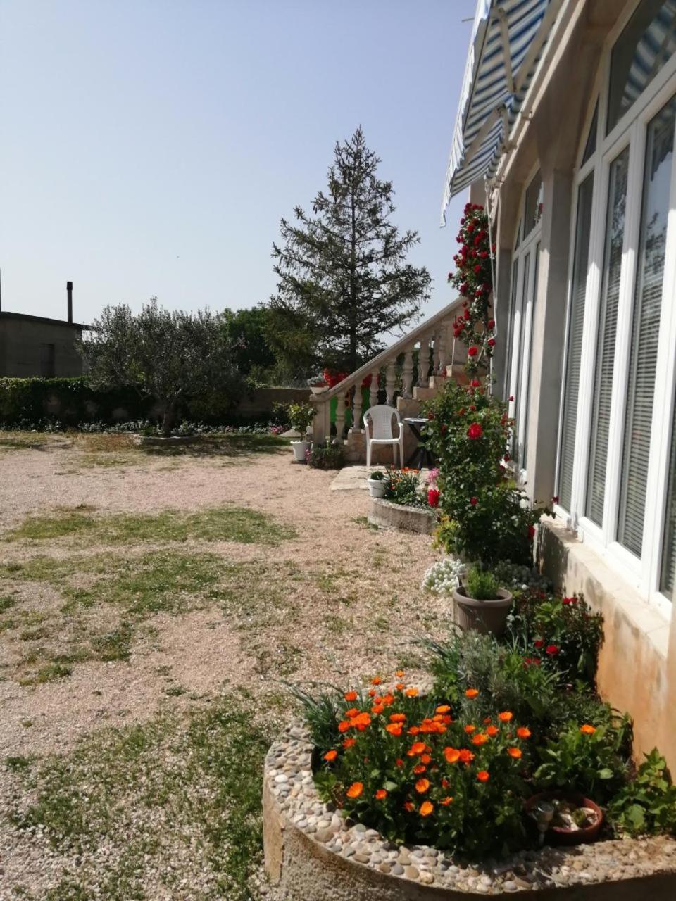 Photo 38