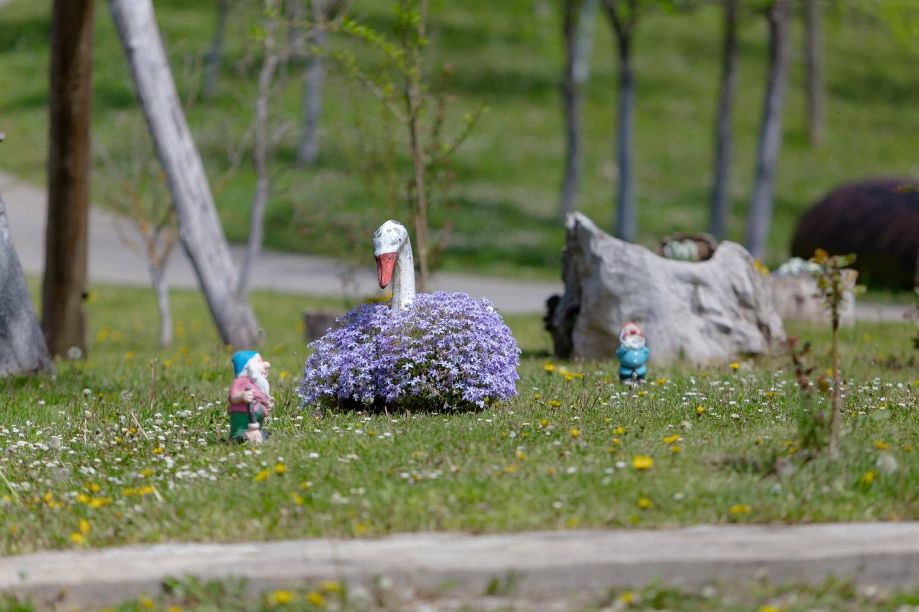 Peace of Nature view 4