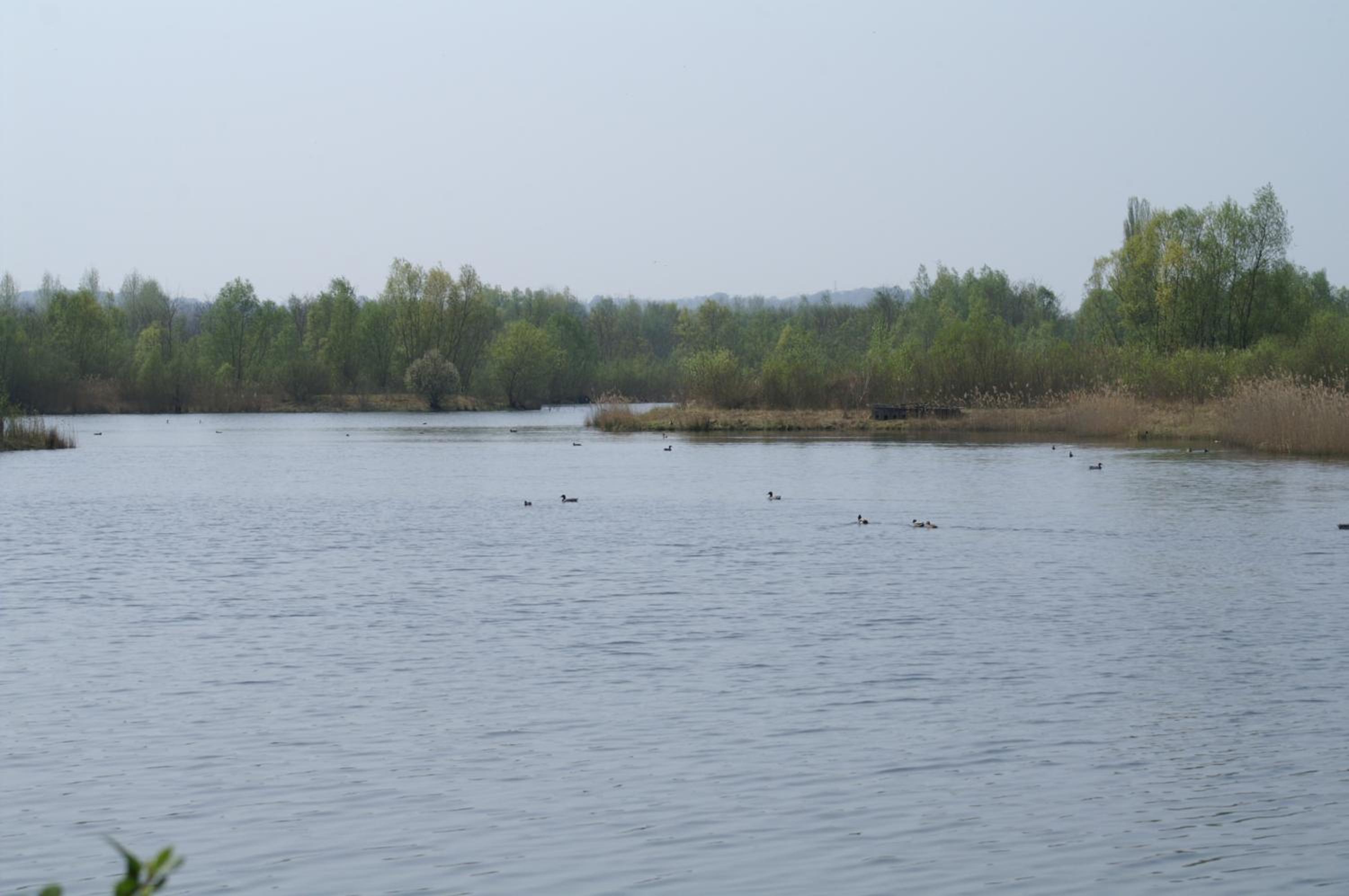 Photo 31