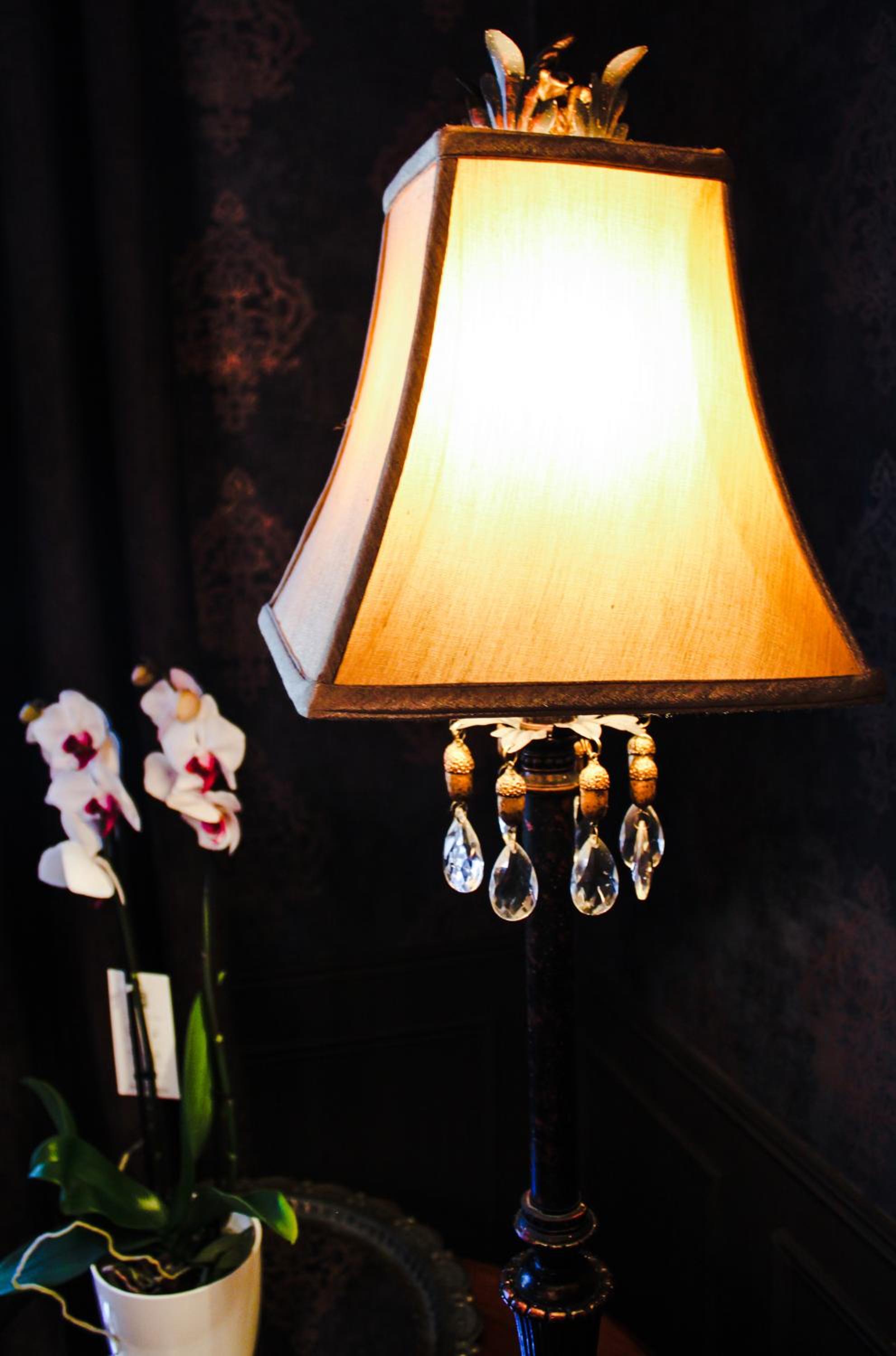 Photo 8