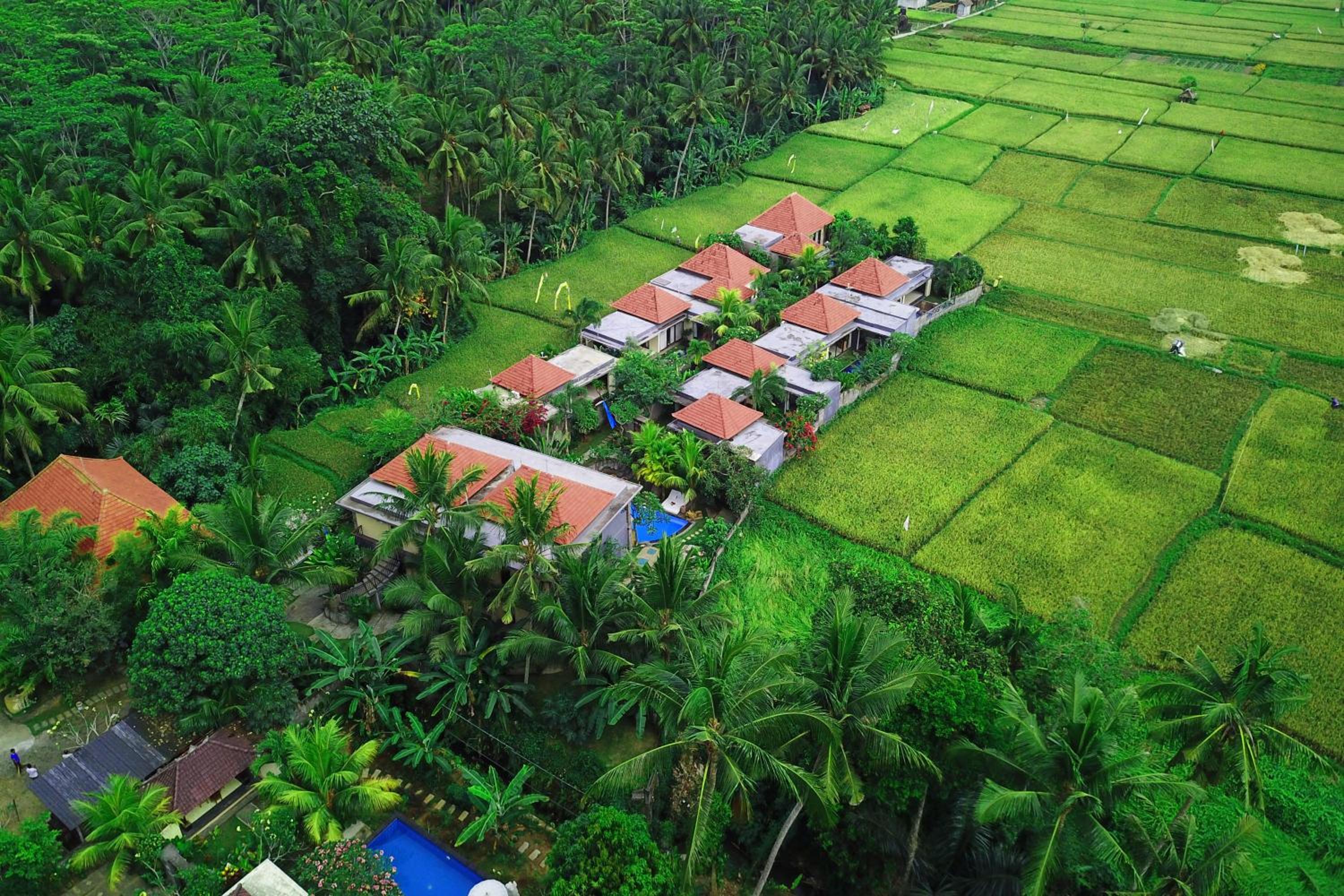 Asri Sari Ubud Resort & Villa by Samhita Bali