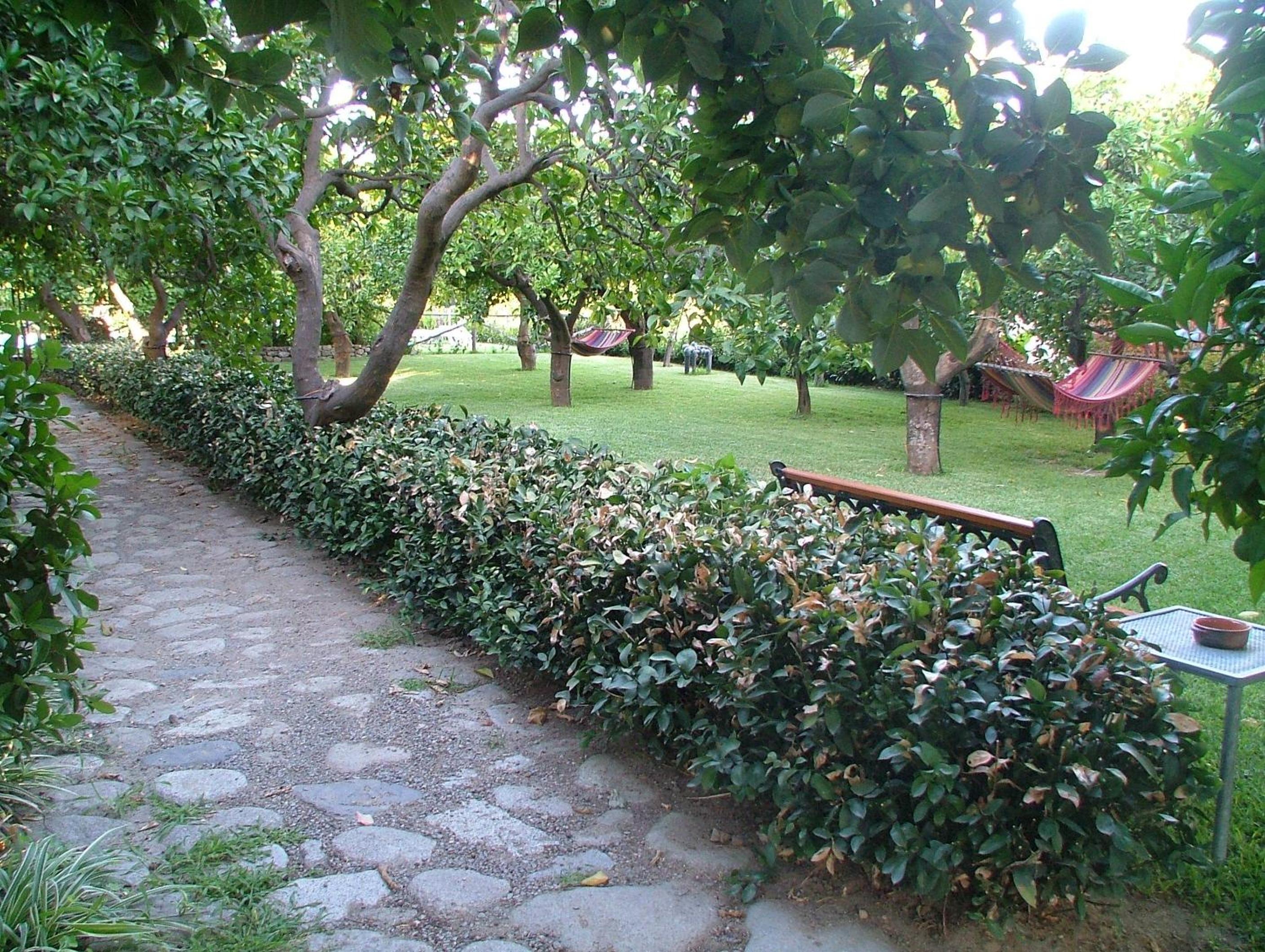 Photo 40