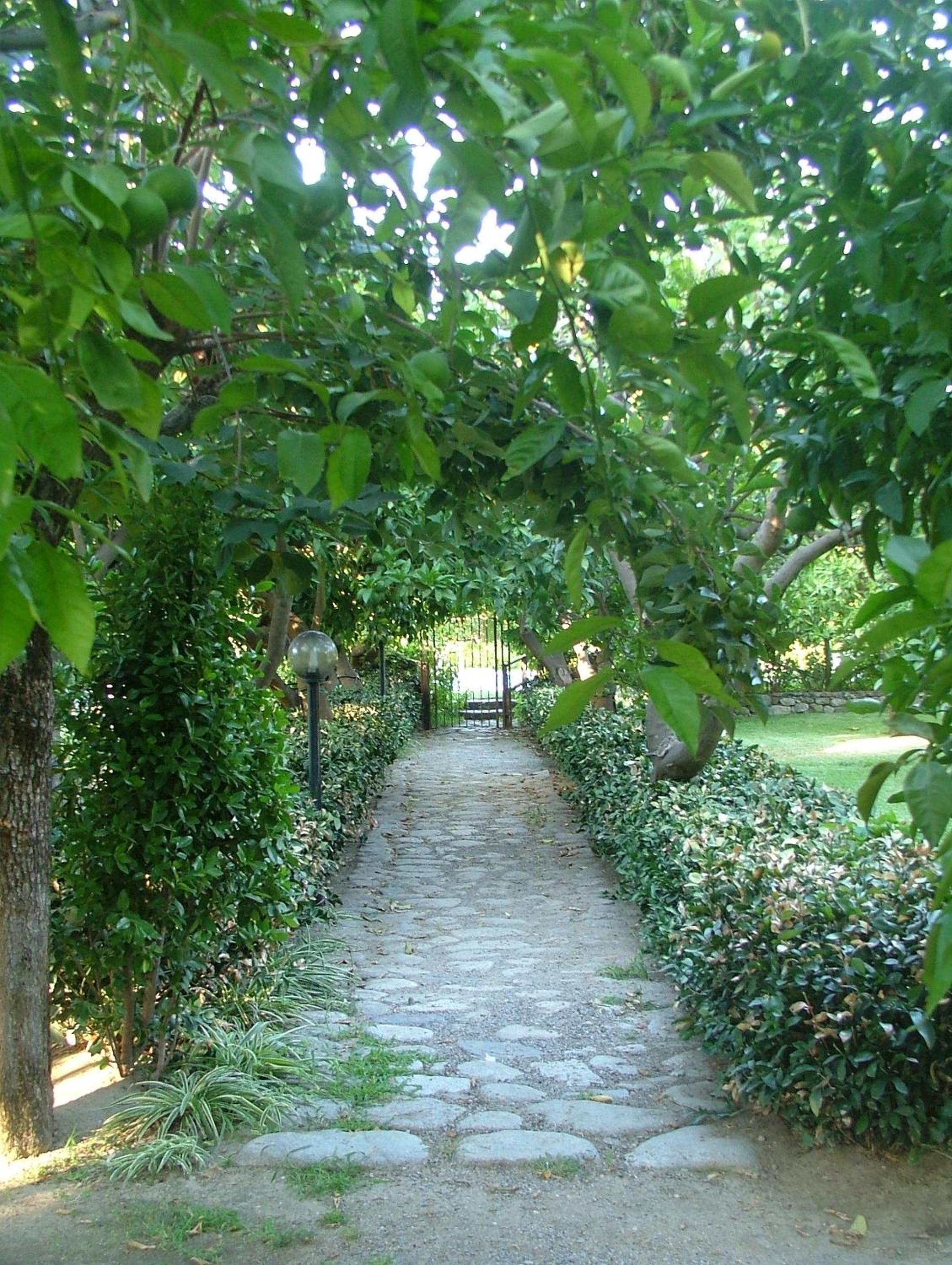 Photo 45