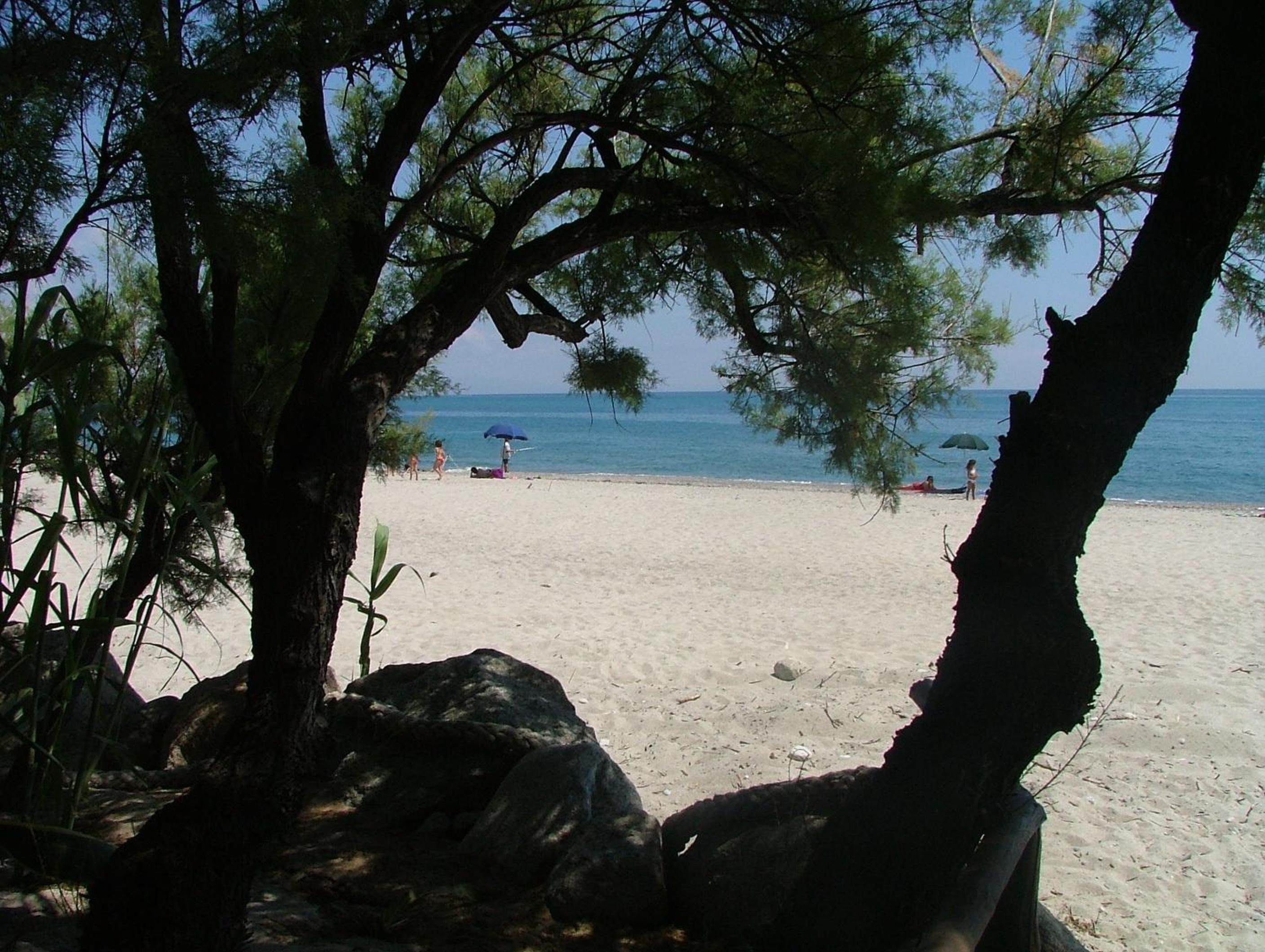 Photo 48