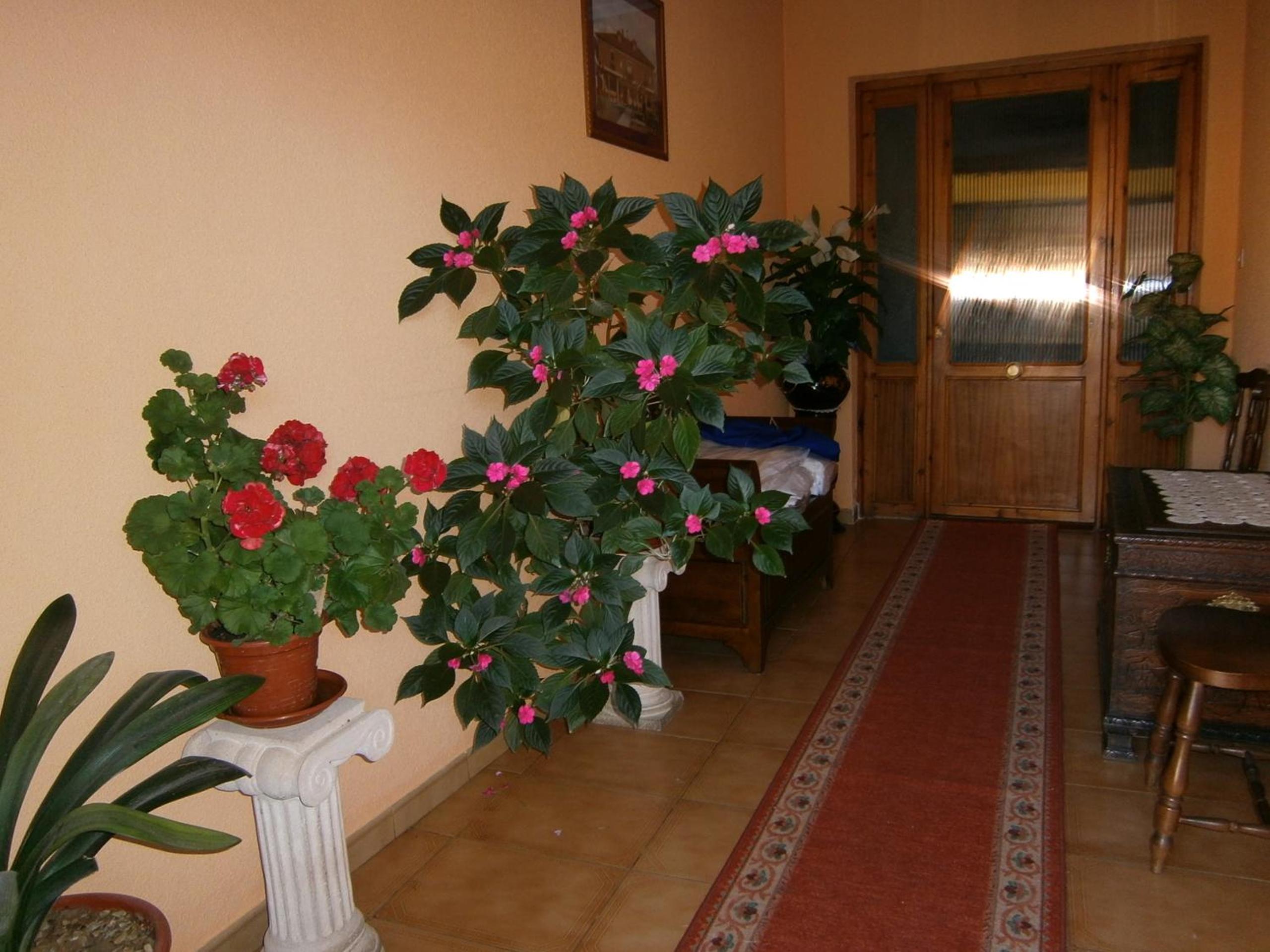 Hostal Camino de Santiago